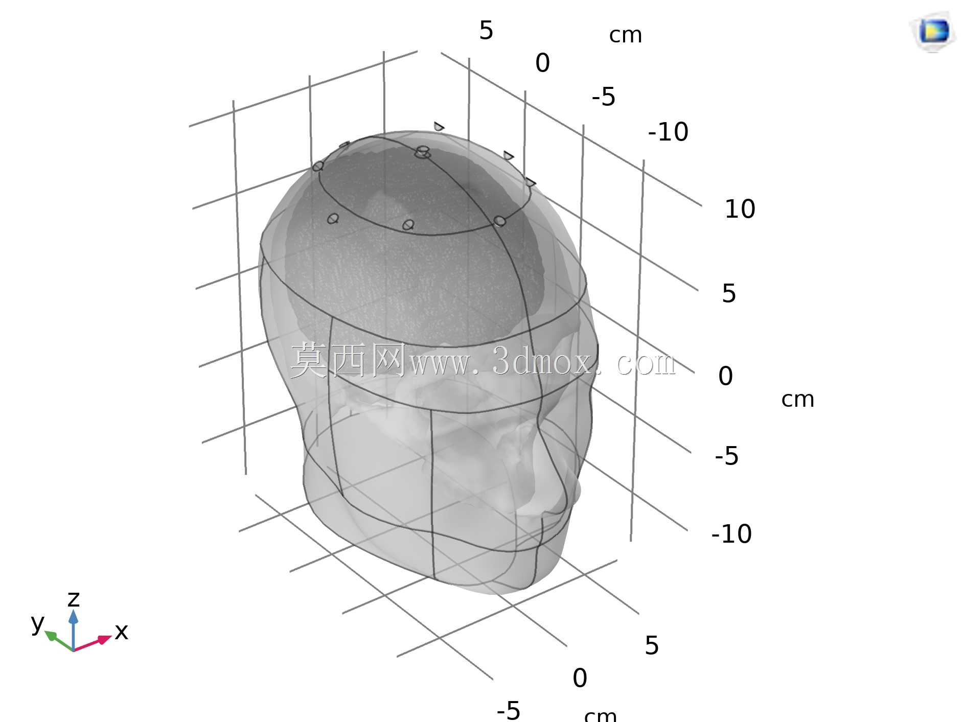 3D人体头部几何(包括大脑和头骨),生物工程