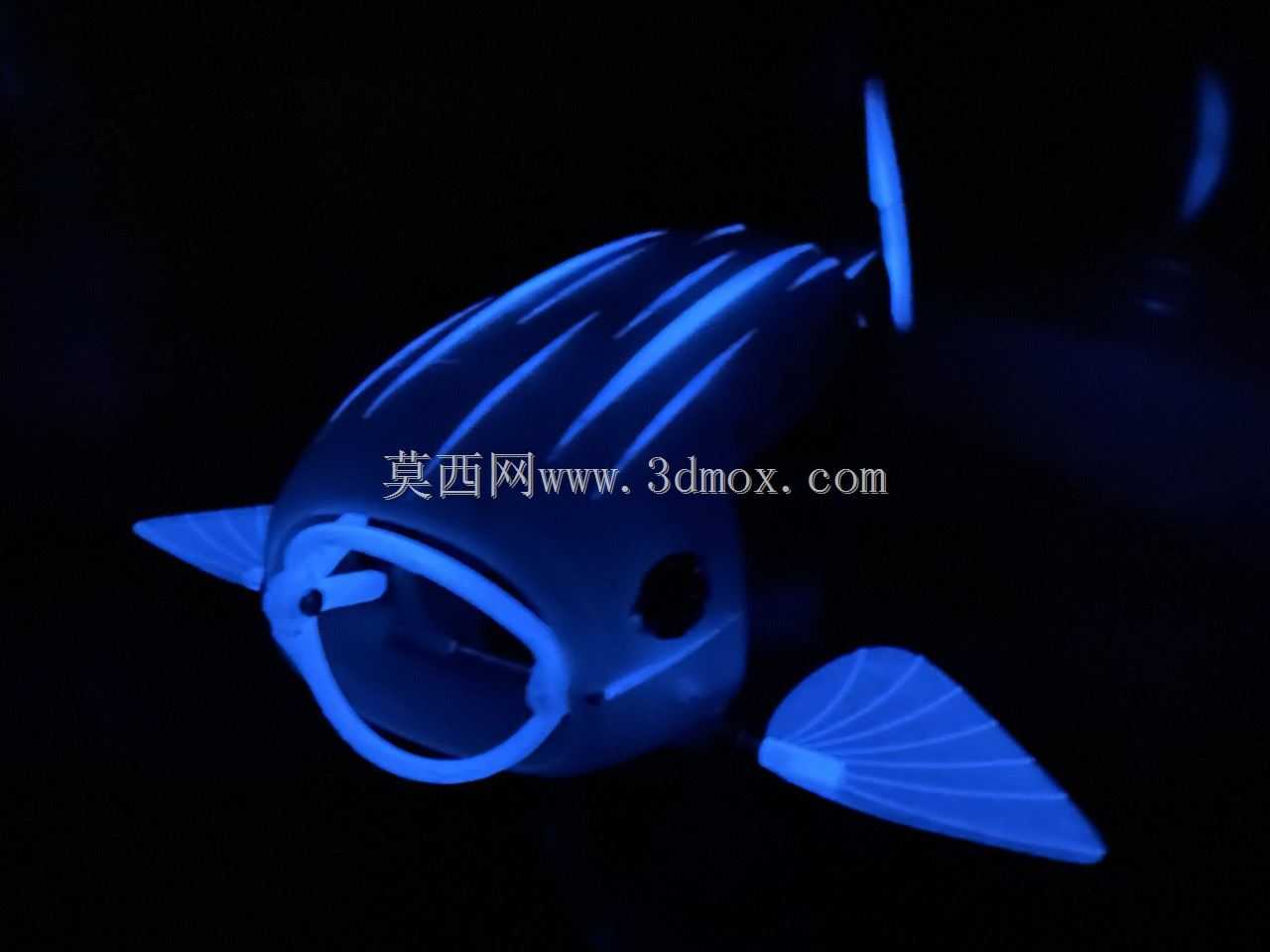 自然机器人大赛:机器人鱼