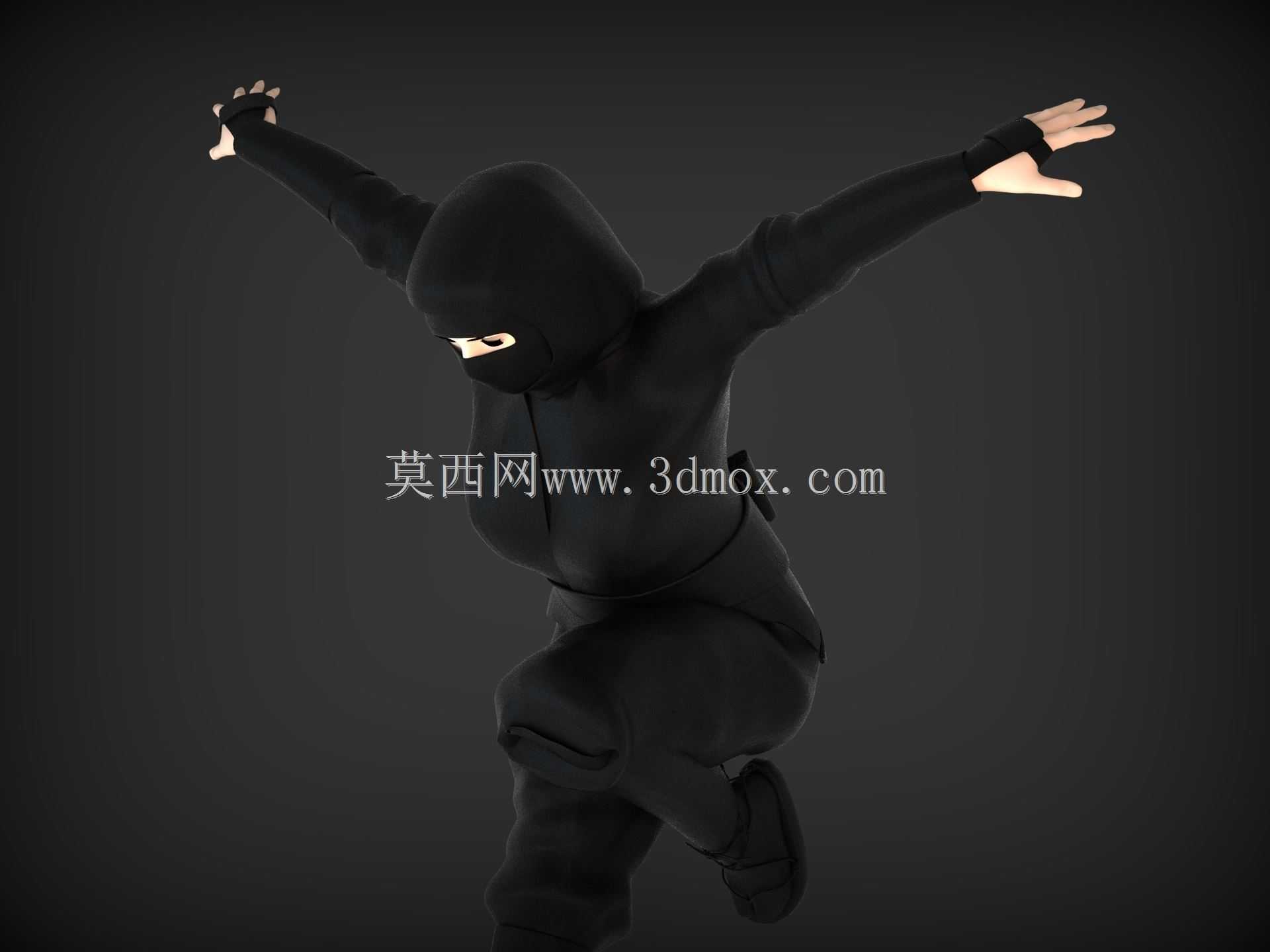 热血女忍者