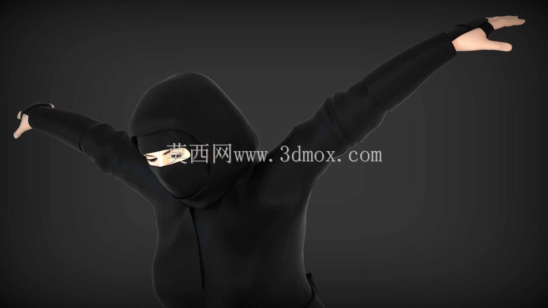 热血女忍者