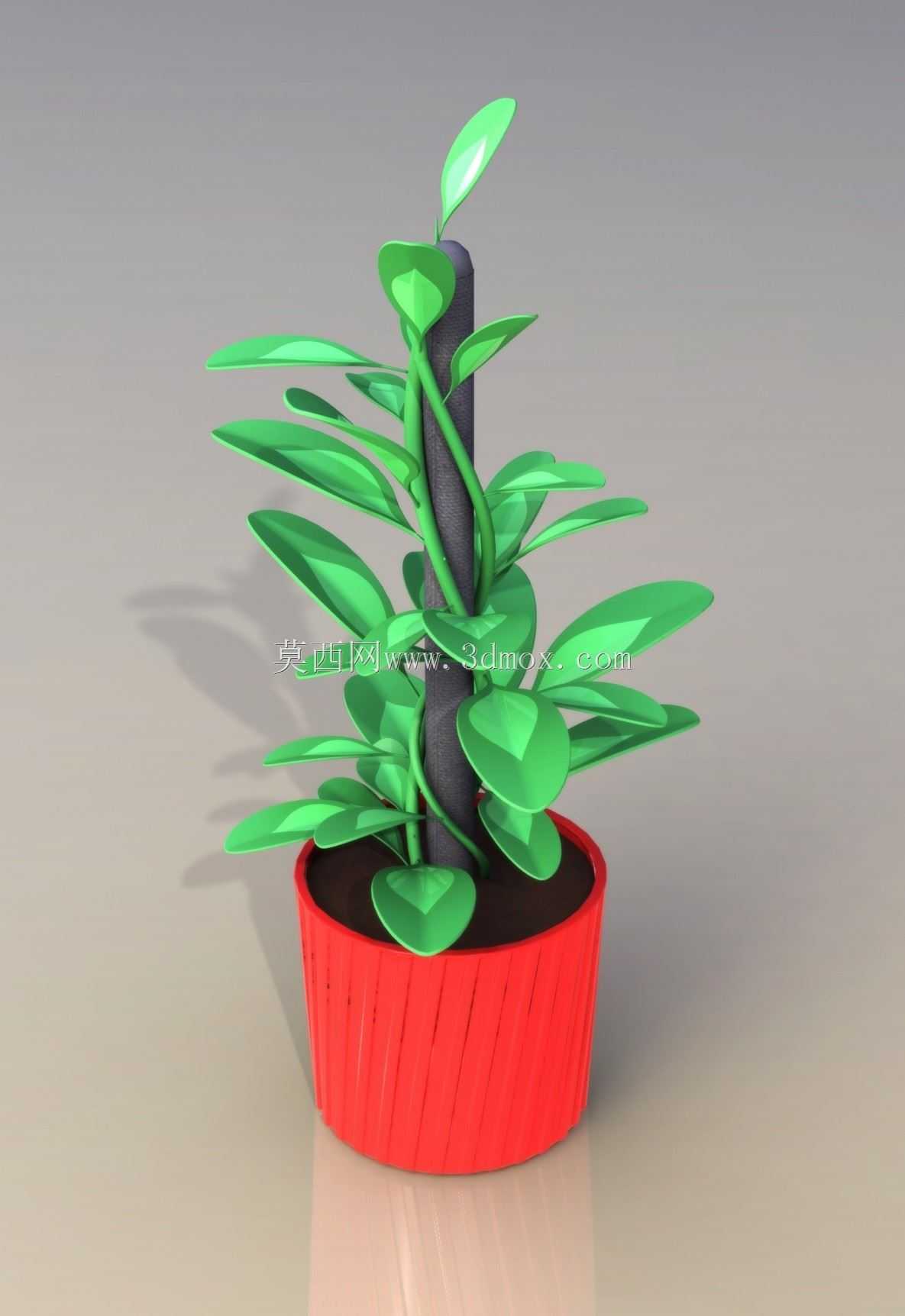 ֲ��