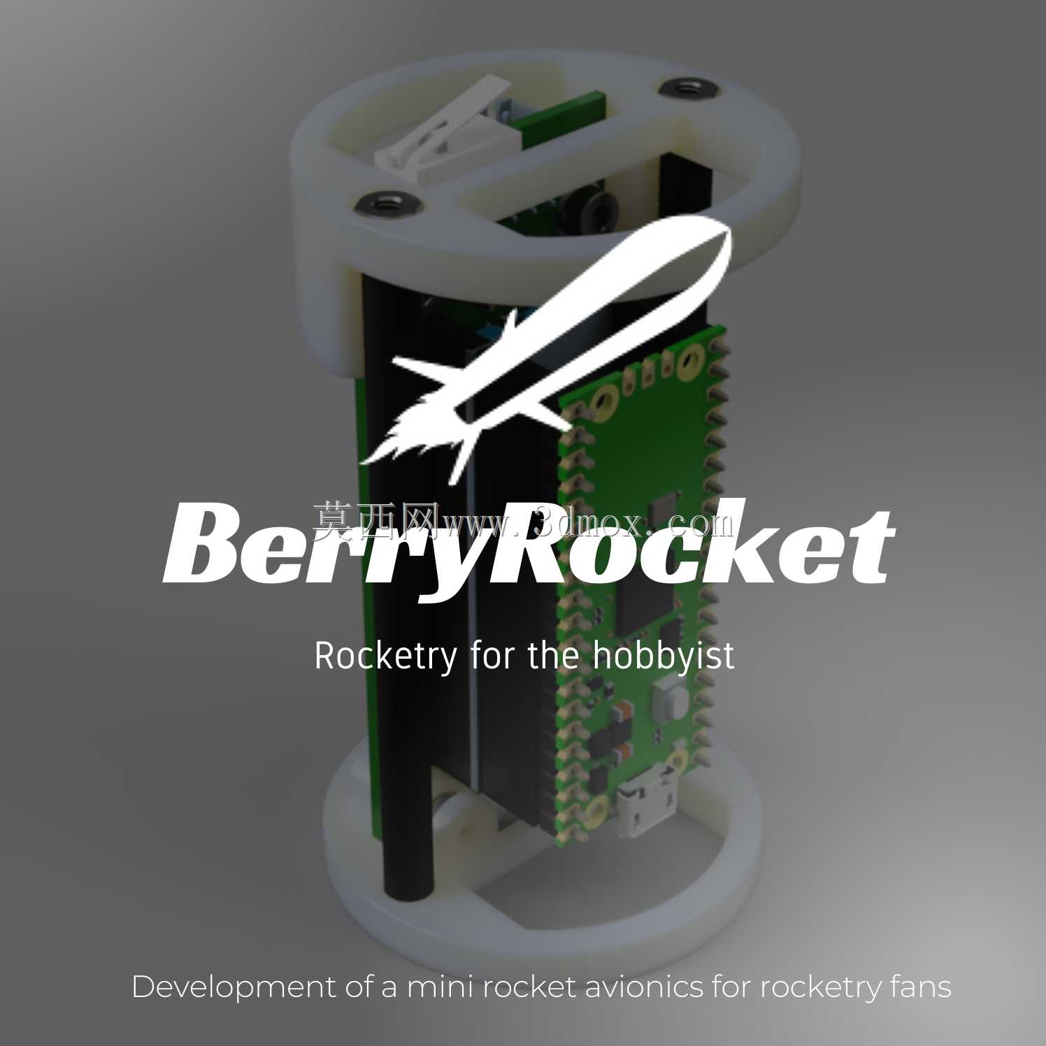 Avionic Berry Rocket n°1型