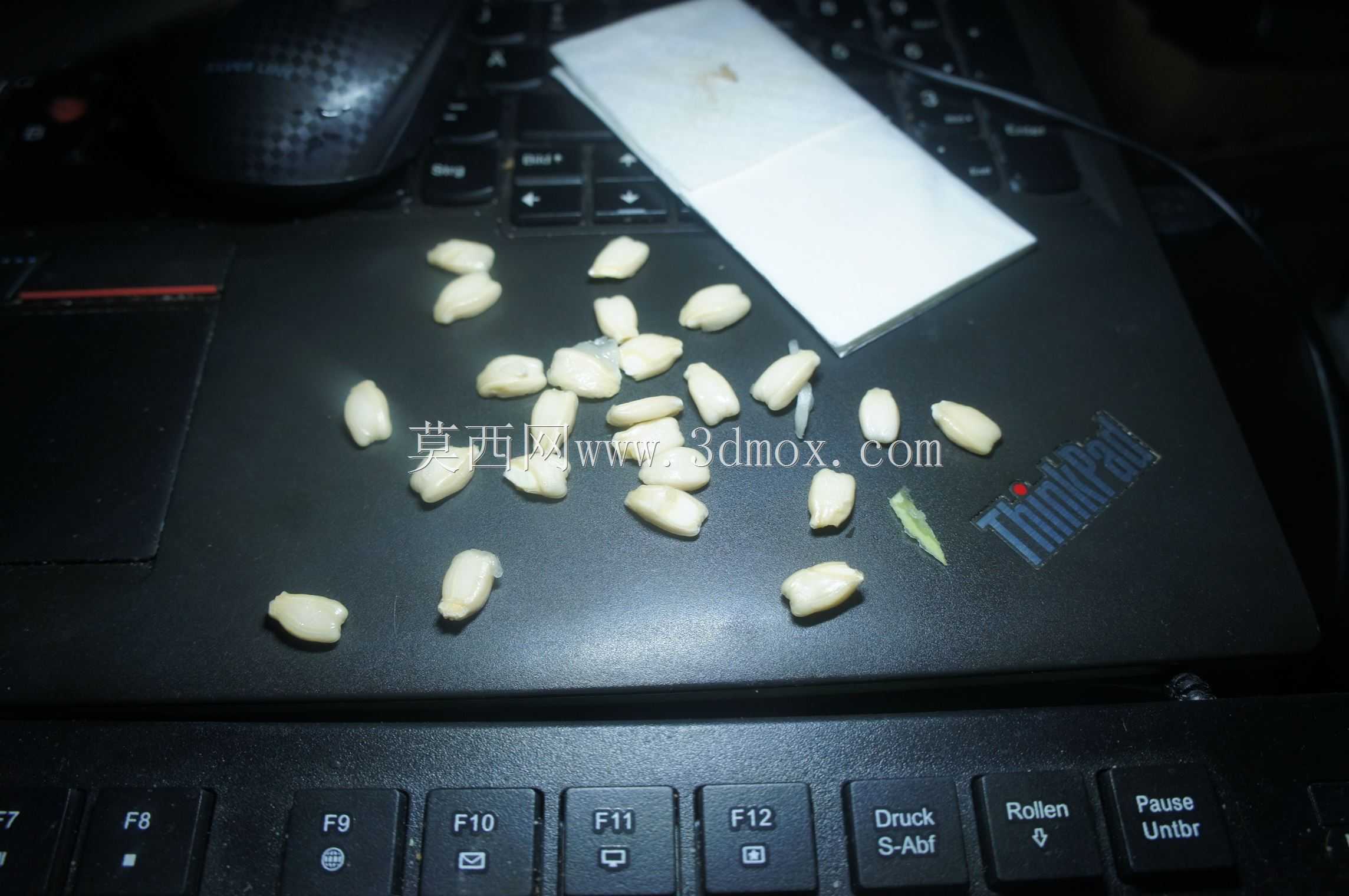 ��������Զ��ۻ�����װ��