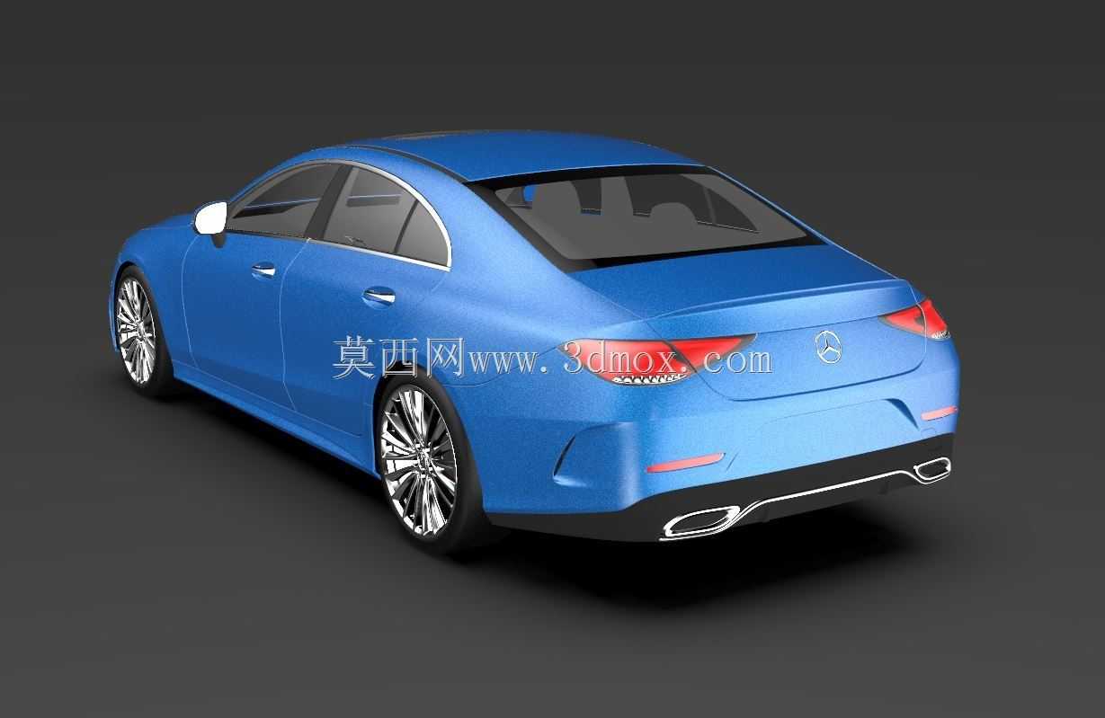 ÷����˹-����CLS 2020��