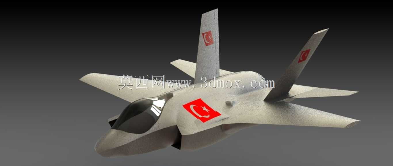 F 35