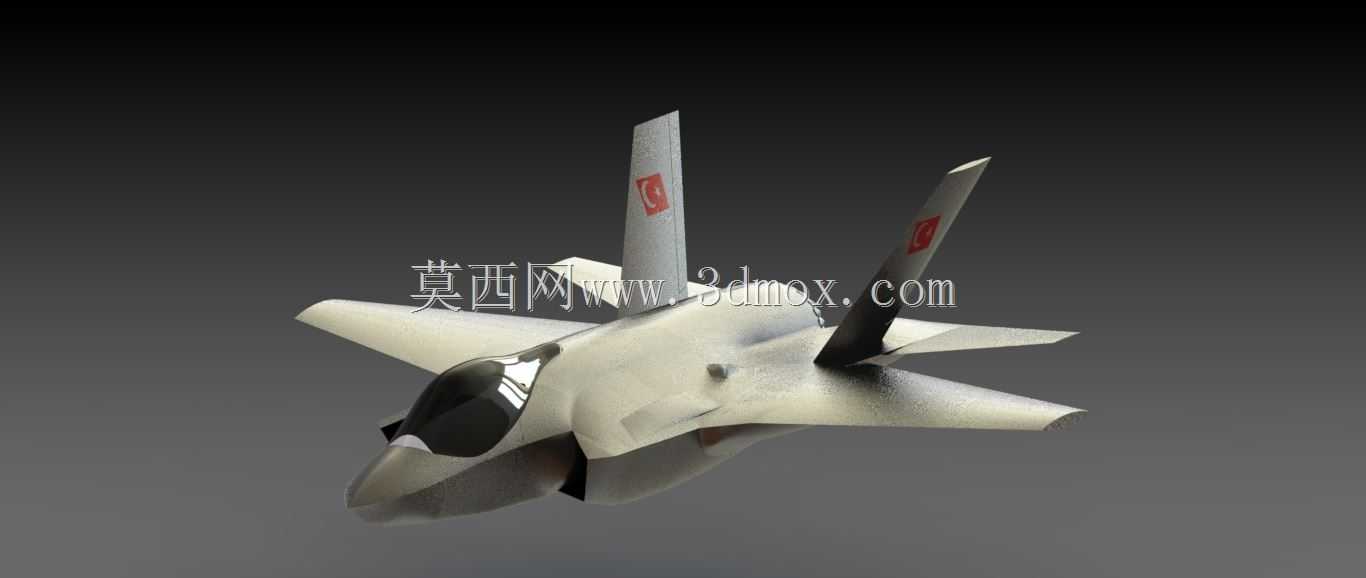 F 35