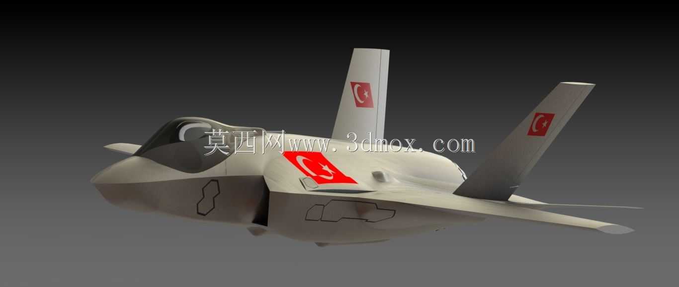 F 35