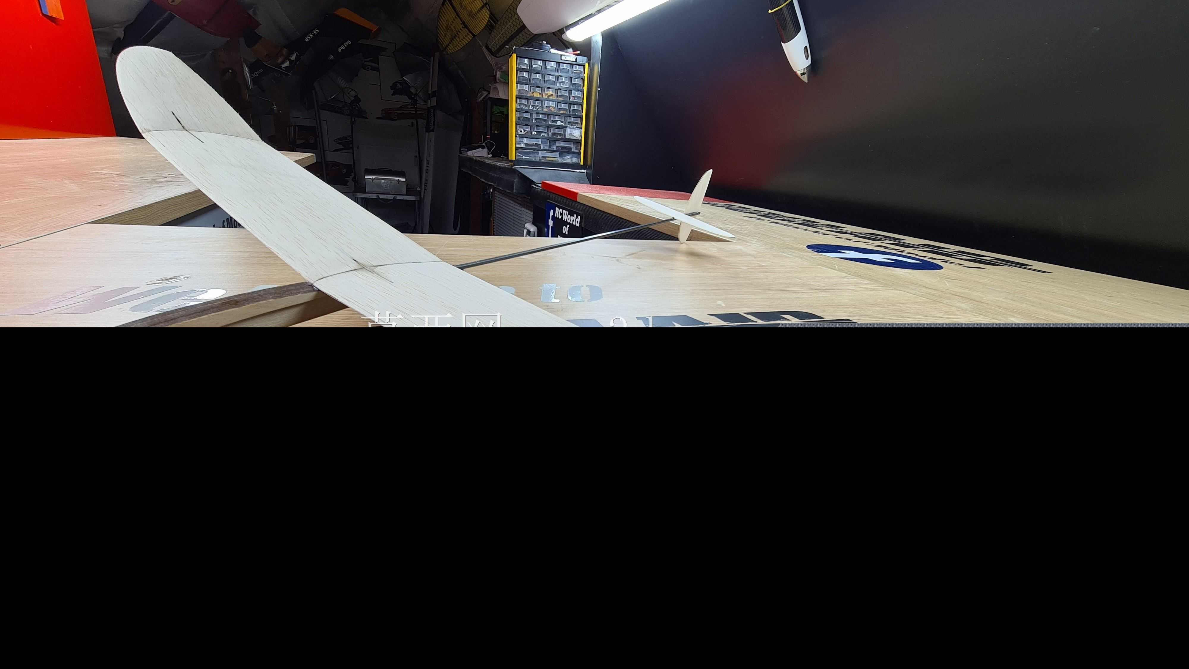 免费飞行DLG模型飞机