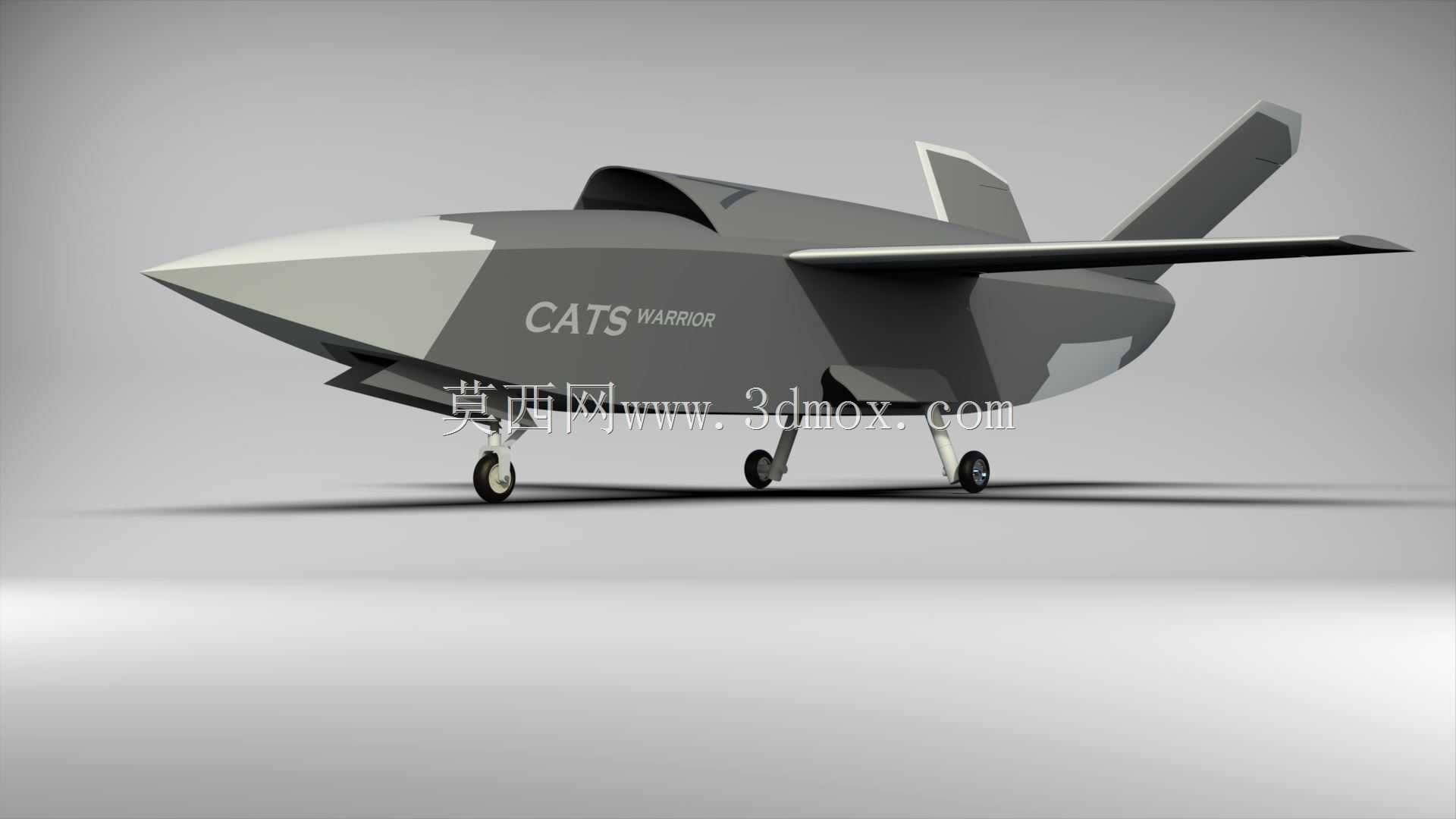 CATS Warrior