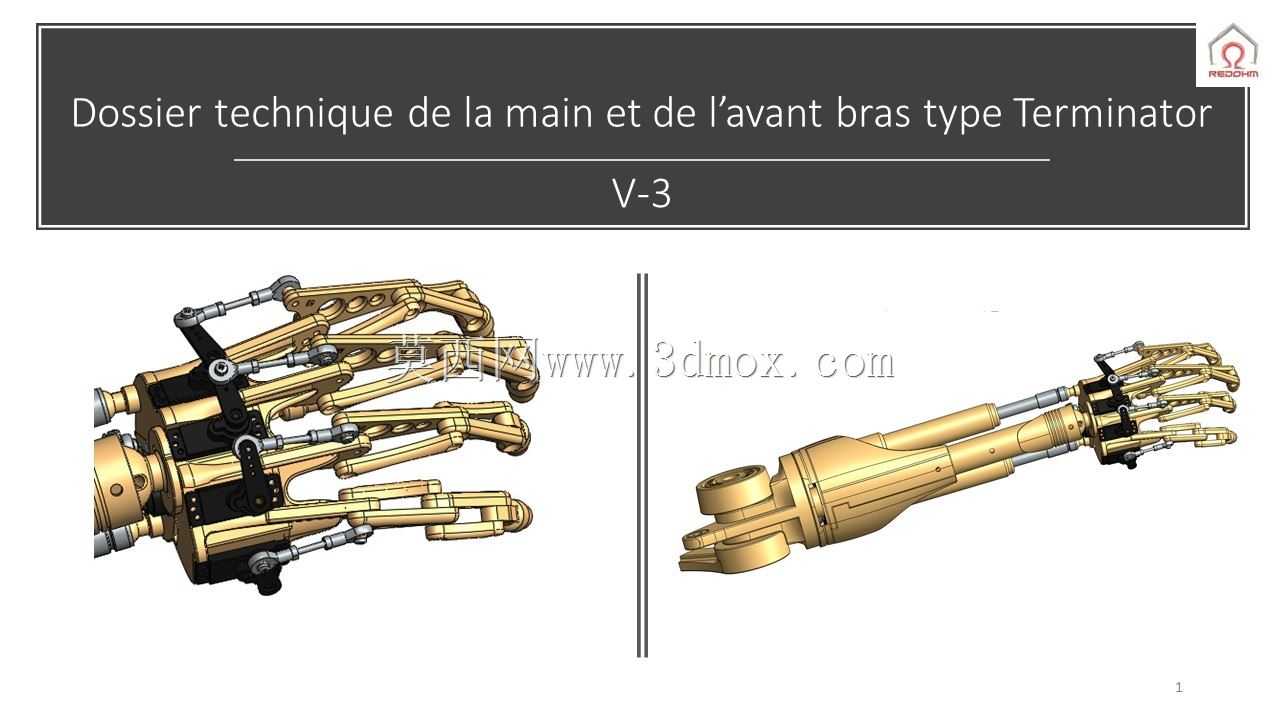 Bras et main����ֹ��