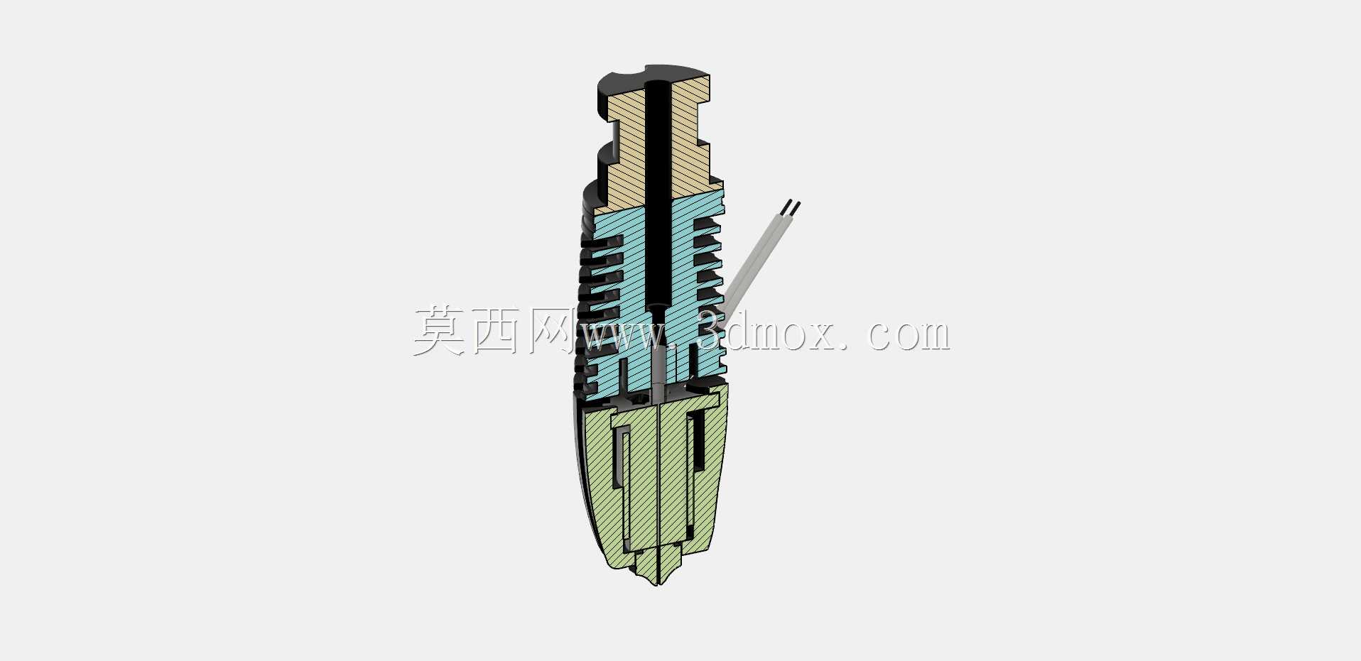 Phaetus Rapido HF�ȶ�