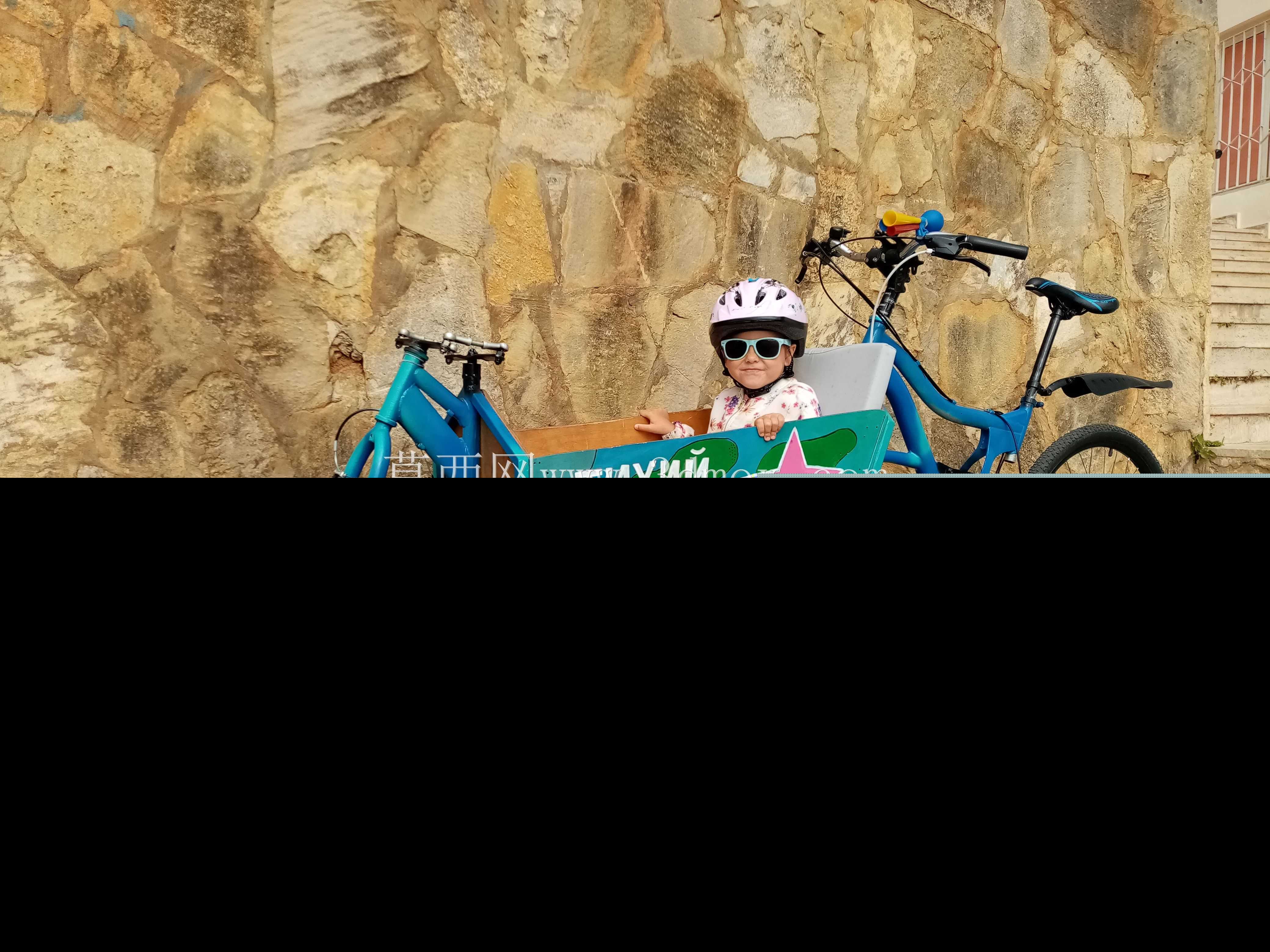 Cargobike Long Frankee