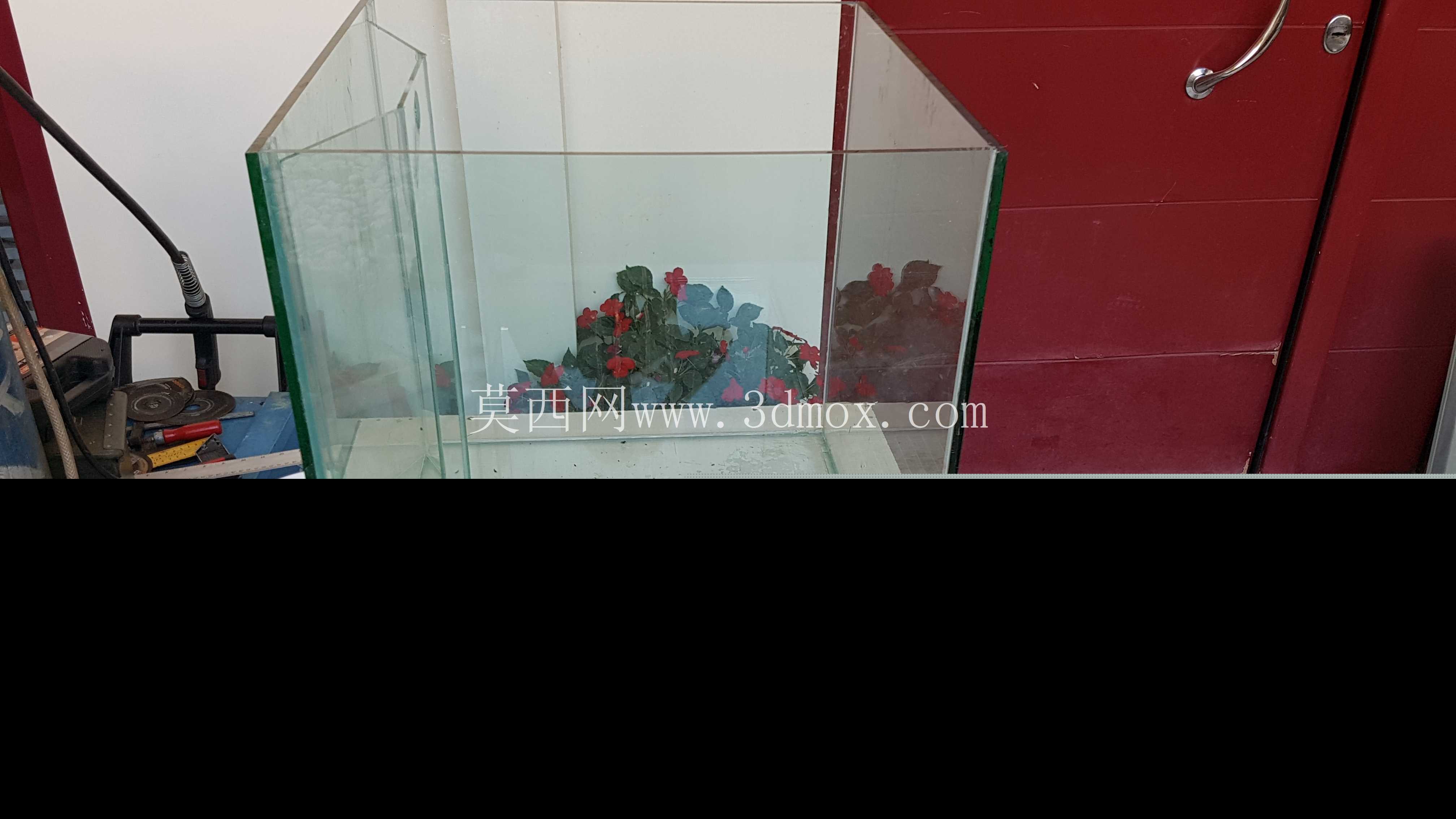 立方体水族馆