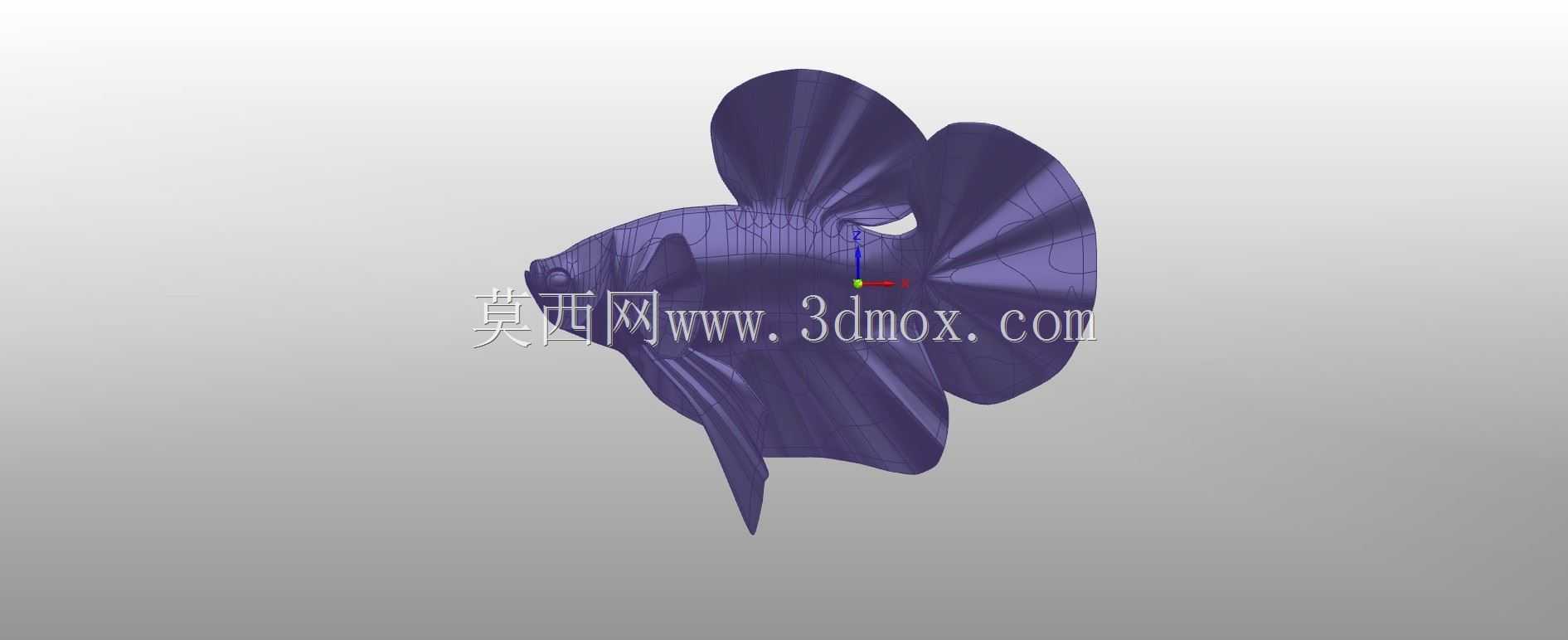  betta��