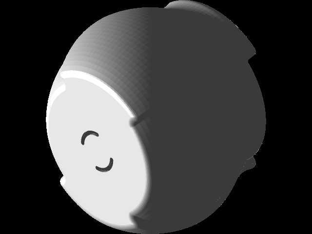3D��ӡ���裨��ƿ��