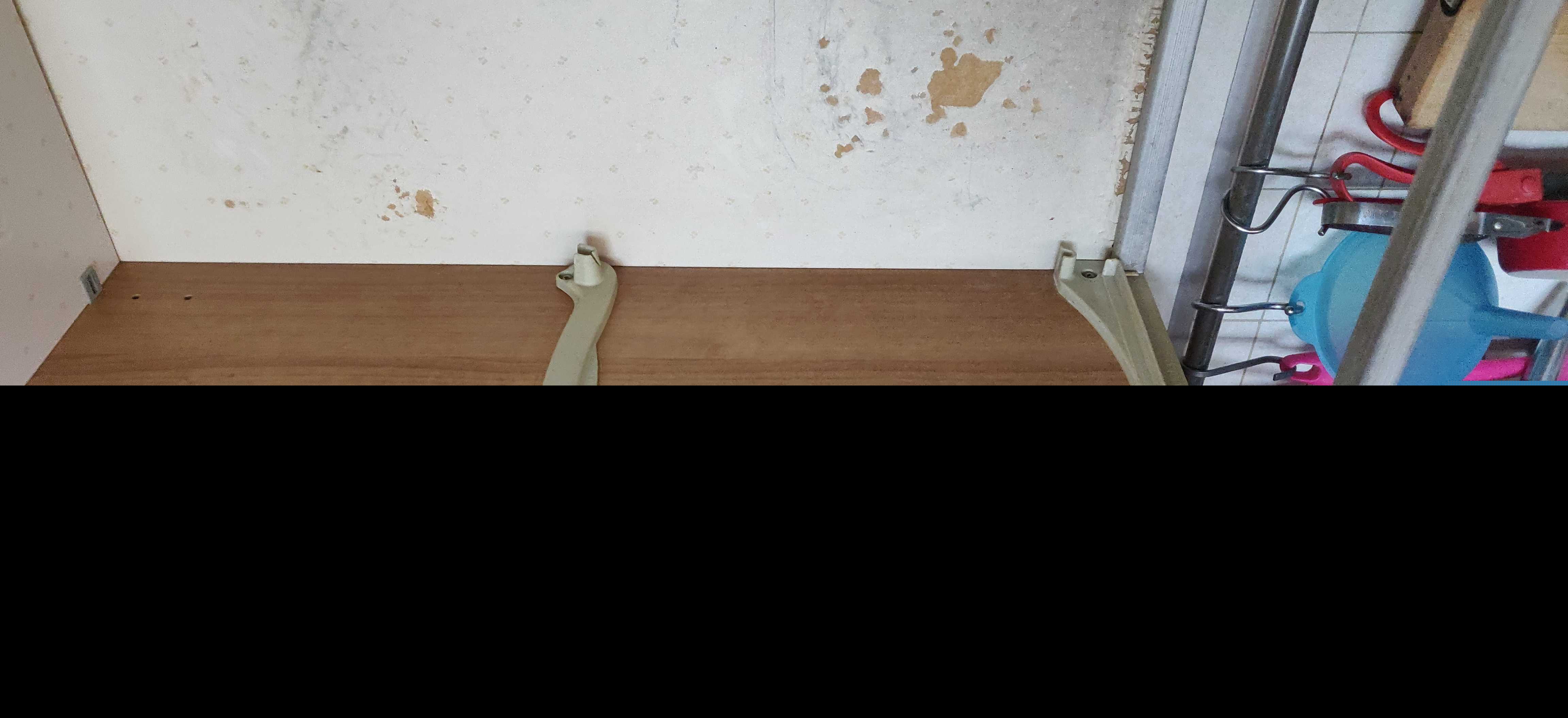 斯科拉皮亚蒂