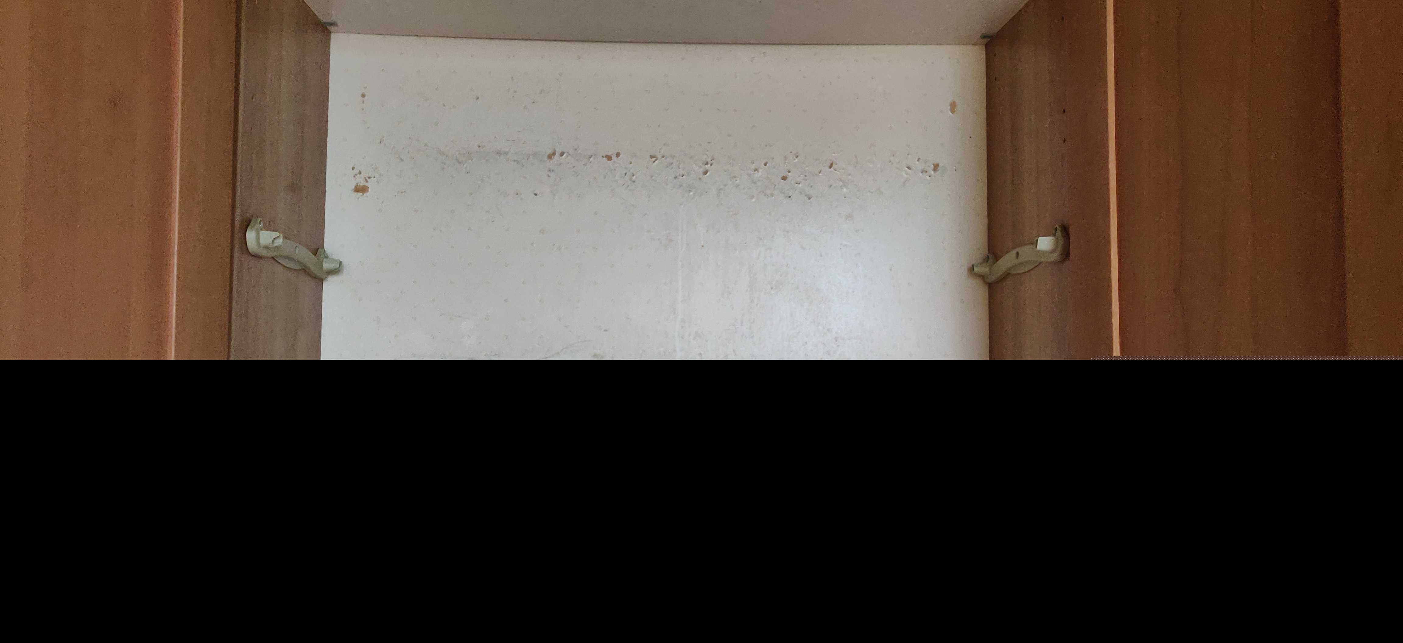 斯科拉皮亚蒂