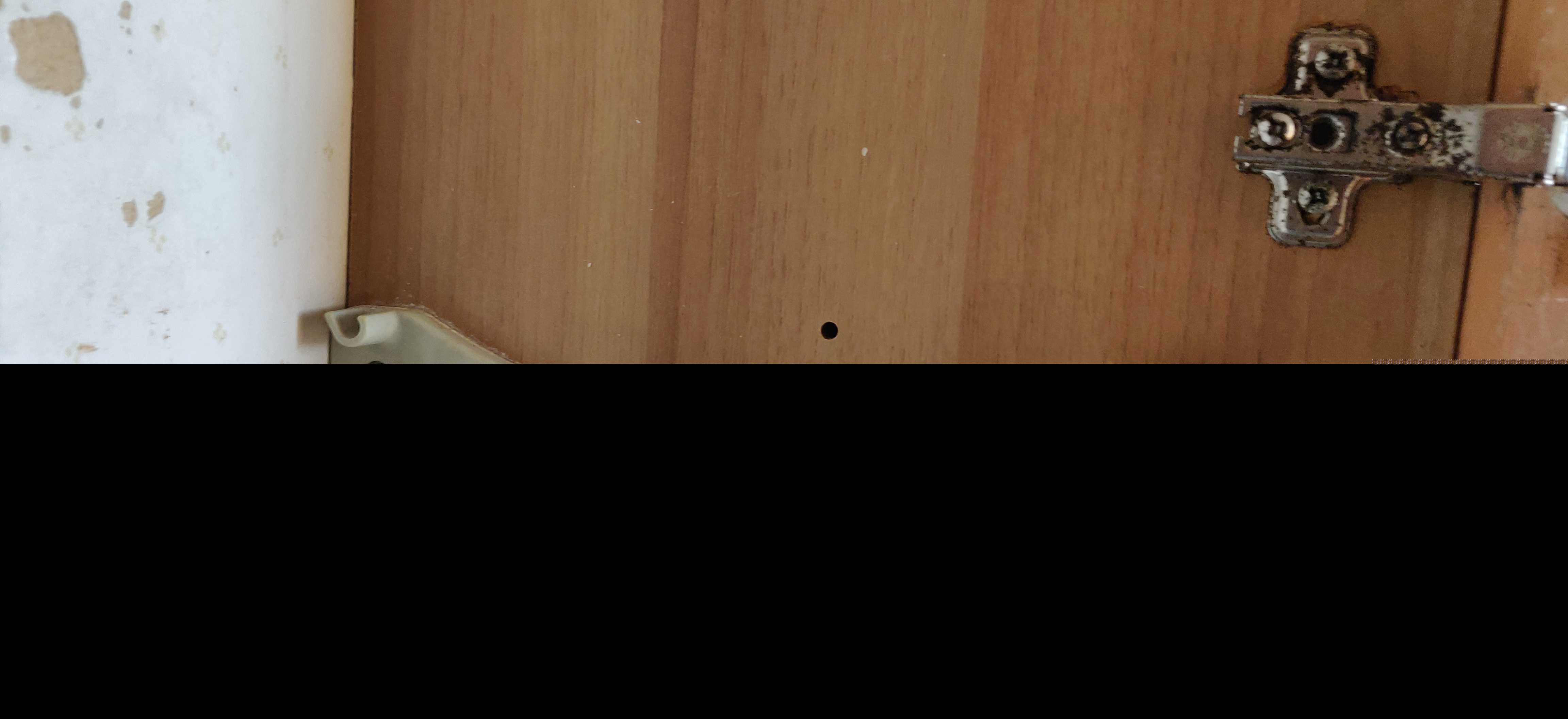 斯科拉皮亚蒂