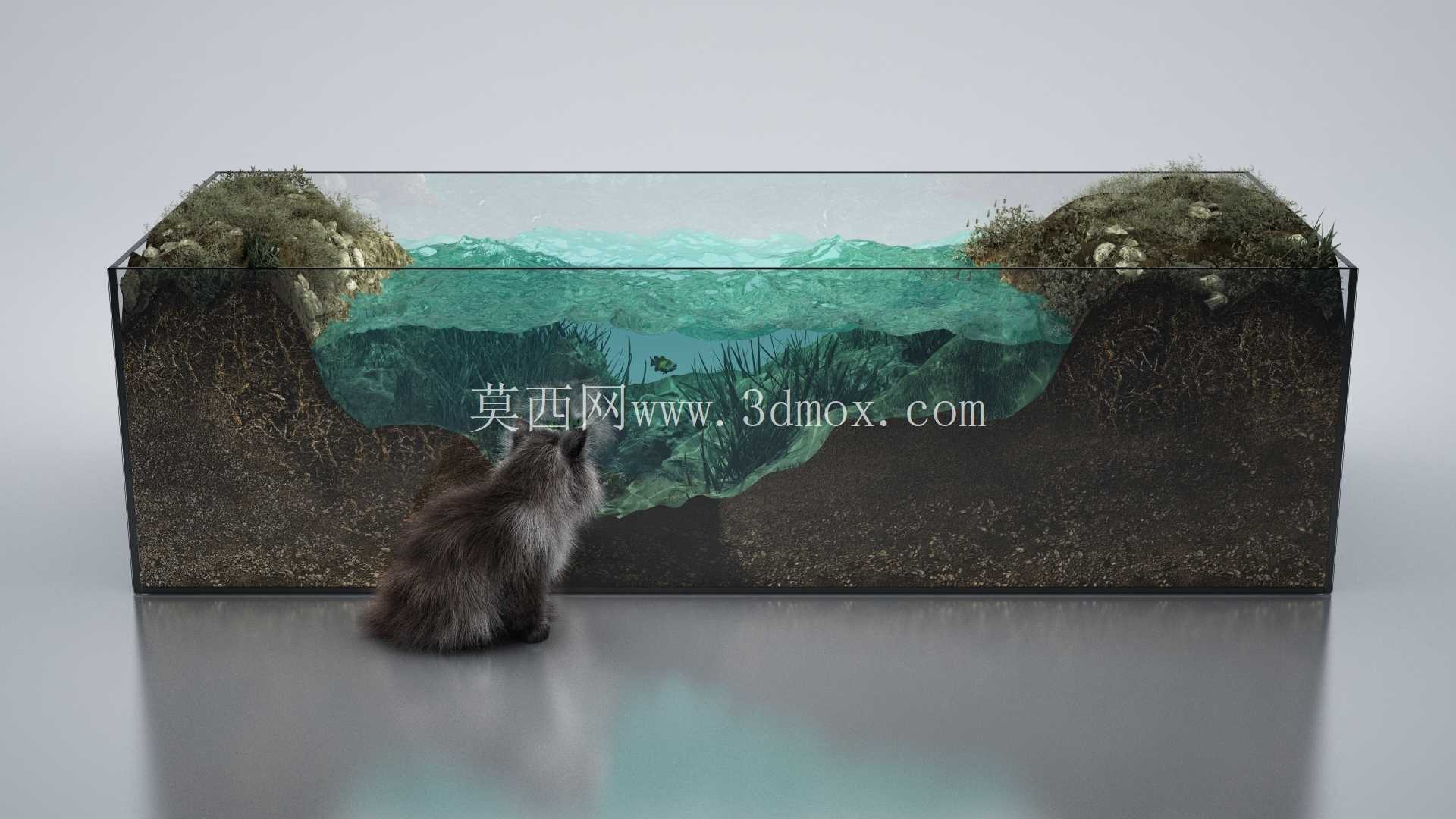 ����鶯��