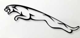  jaguar�ձ�����