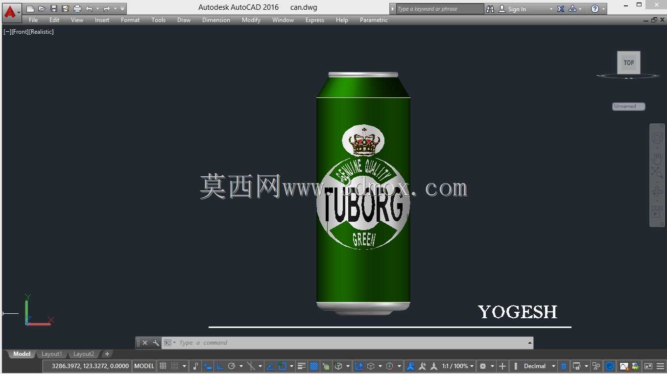 Tuborg Beer can