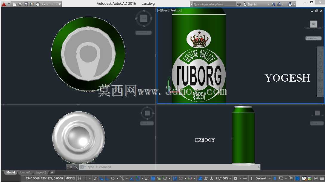 Tuborg Beer can