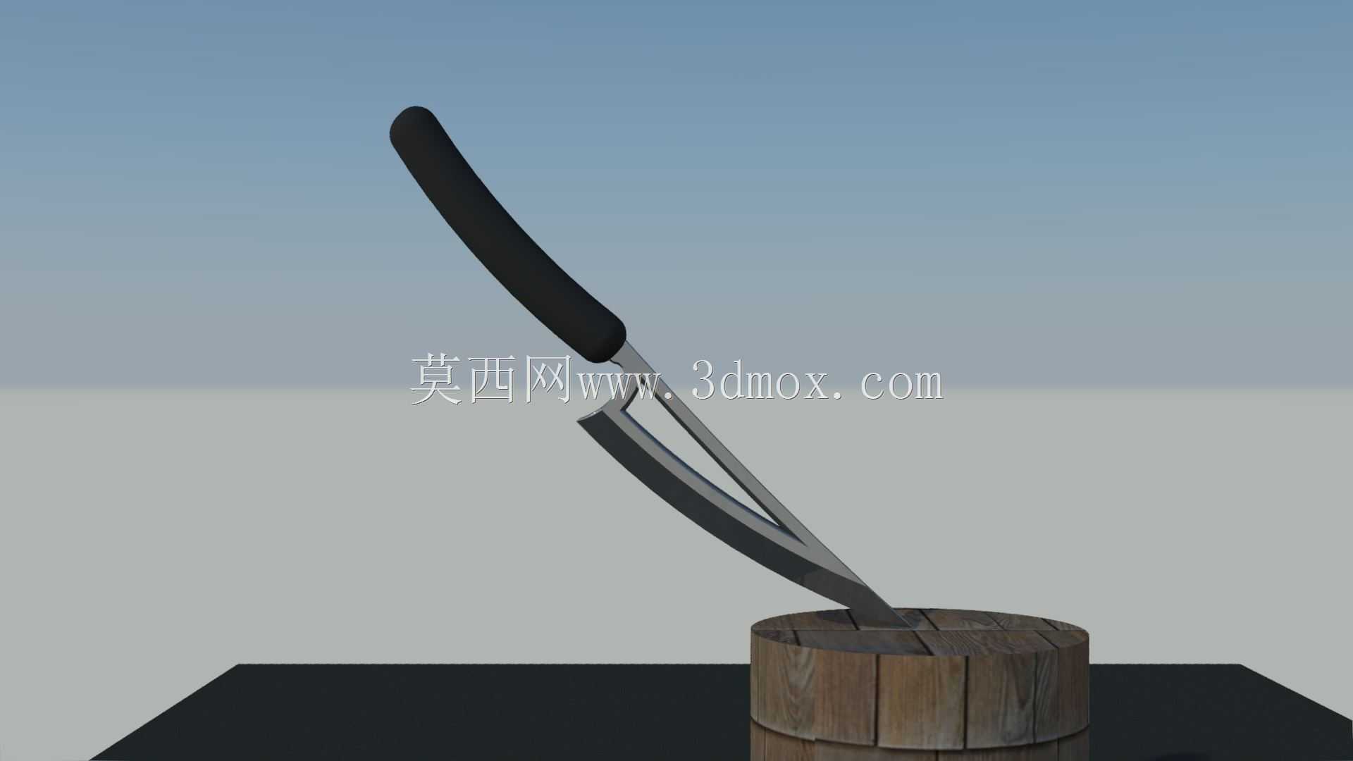  Coltello da Cucina 