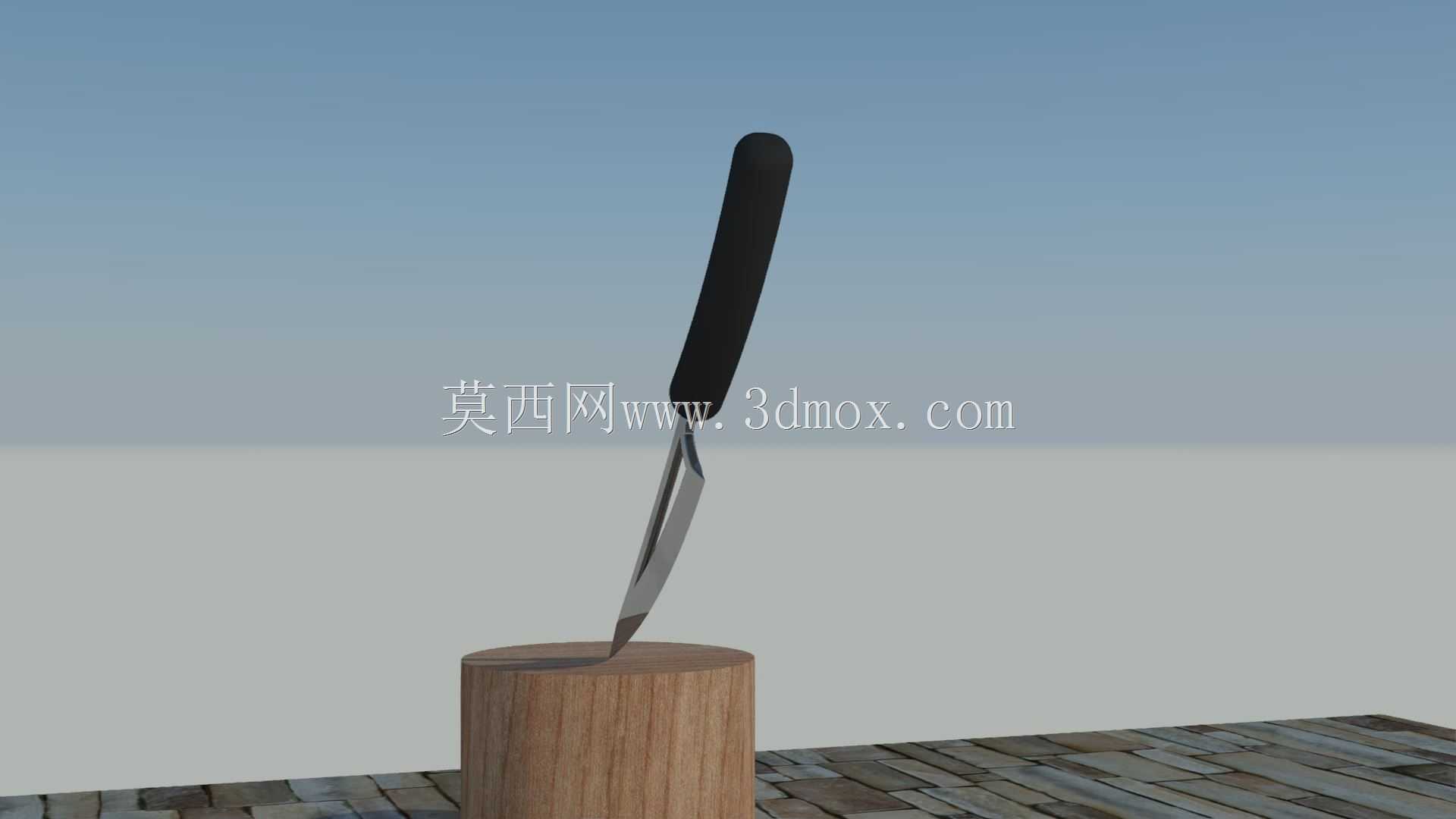  Coltello da Cucina 