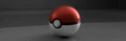 ���� Pokemon �ľ���