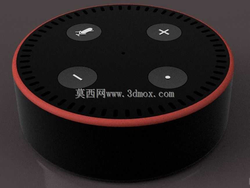  Amazon Echo 