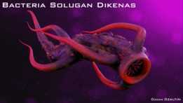 ϸ�� Solugan Dikenas