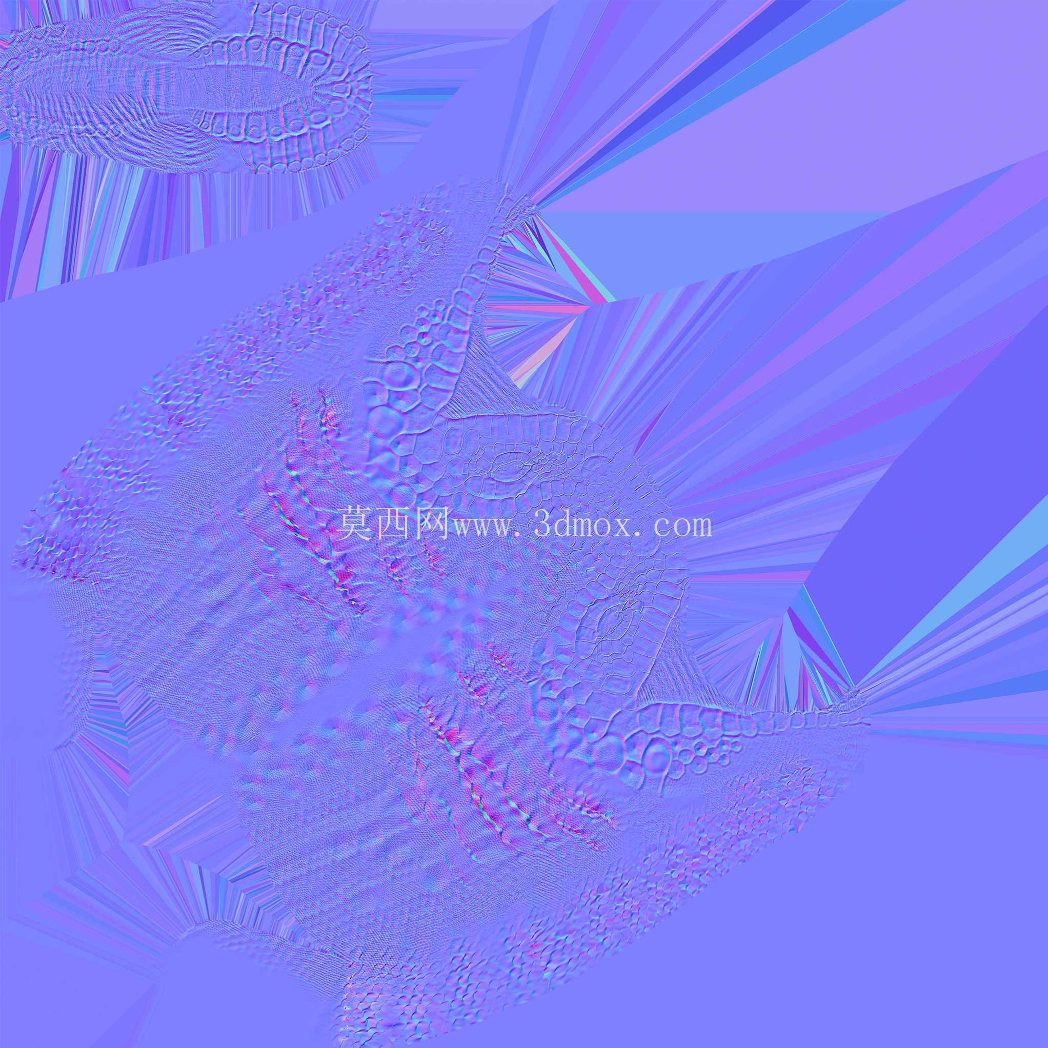�������� 3D ģ�� - Arif Patel �׶�Ӣ��