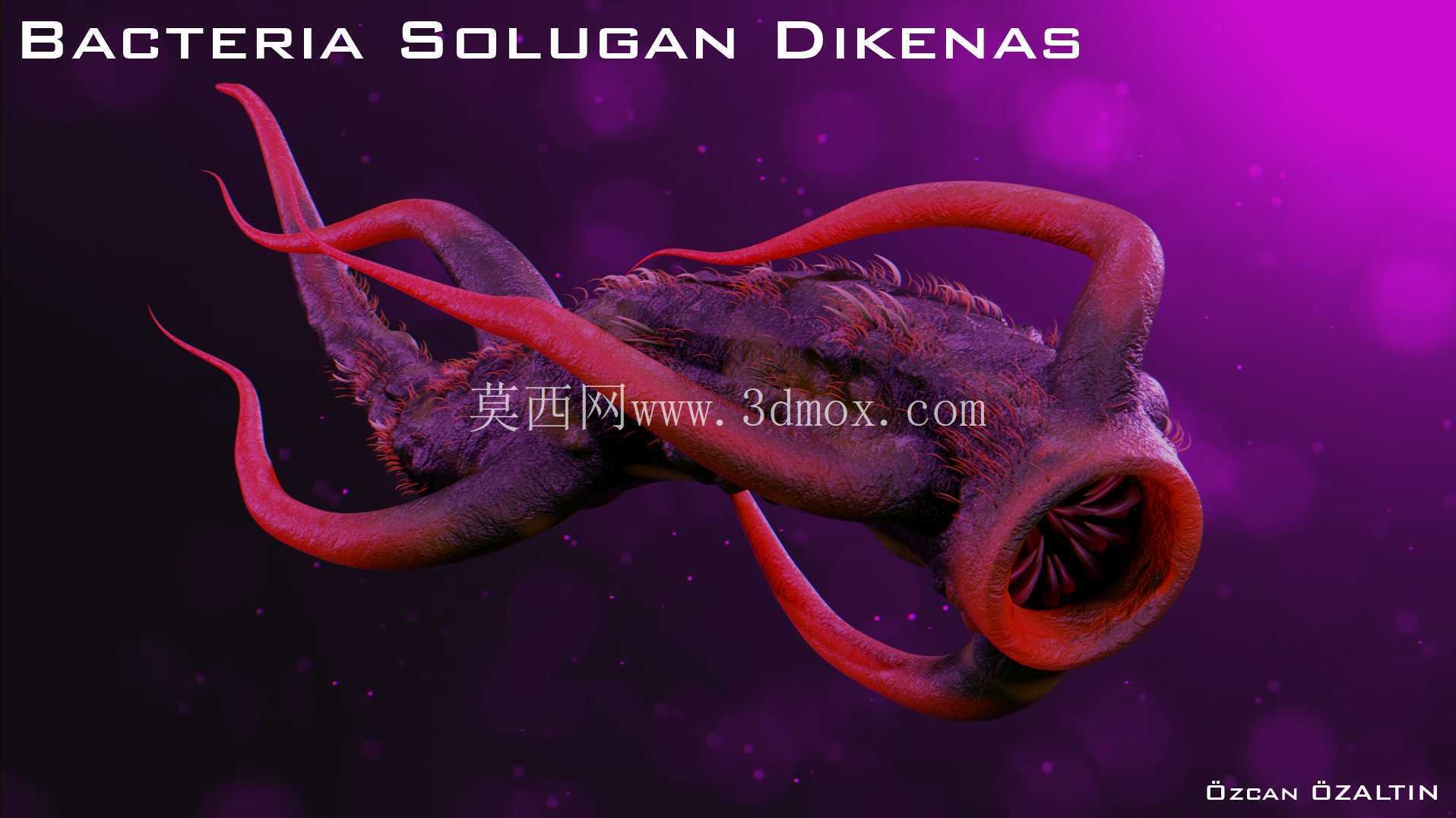 细菌 Solugan Dikenas - 她很残忍
