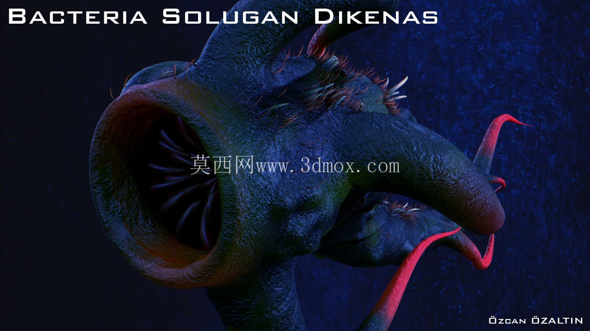 细菌 Solugan Dikenas - 她很残忍