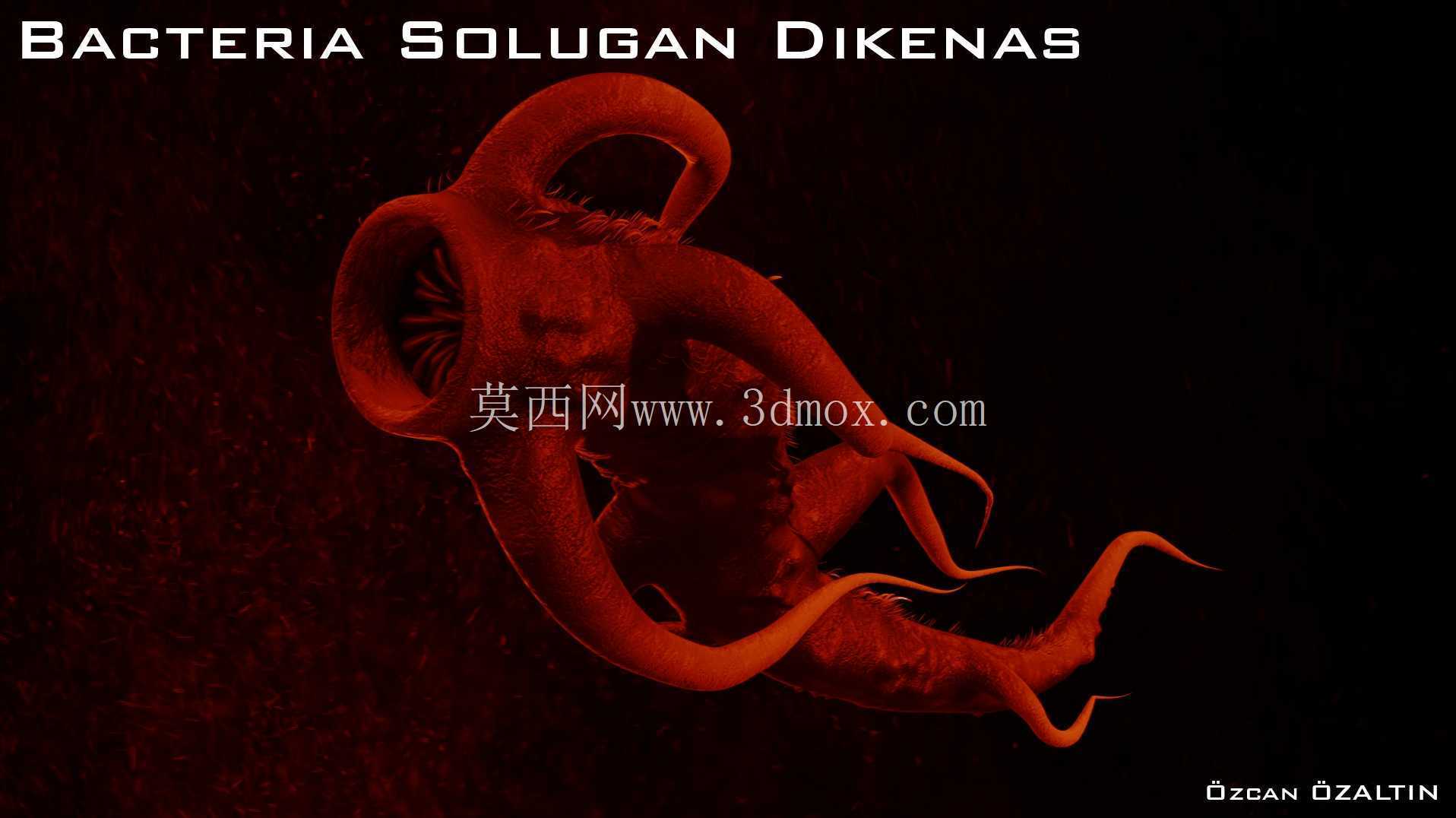细菌 Solugan Dikenas - 她很残忍