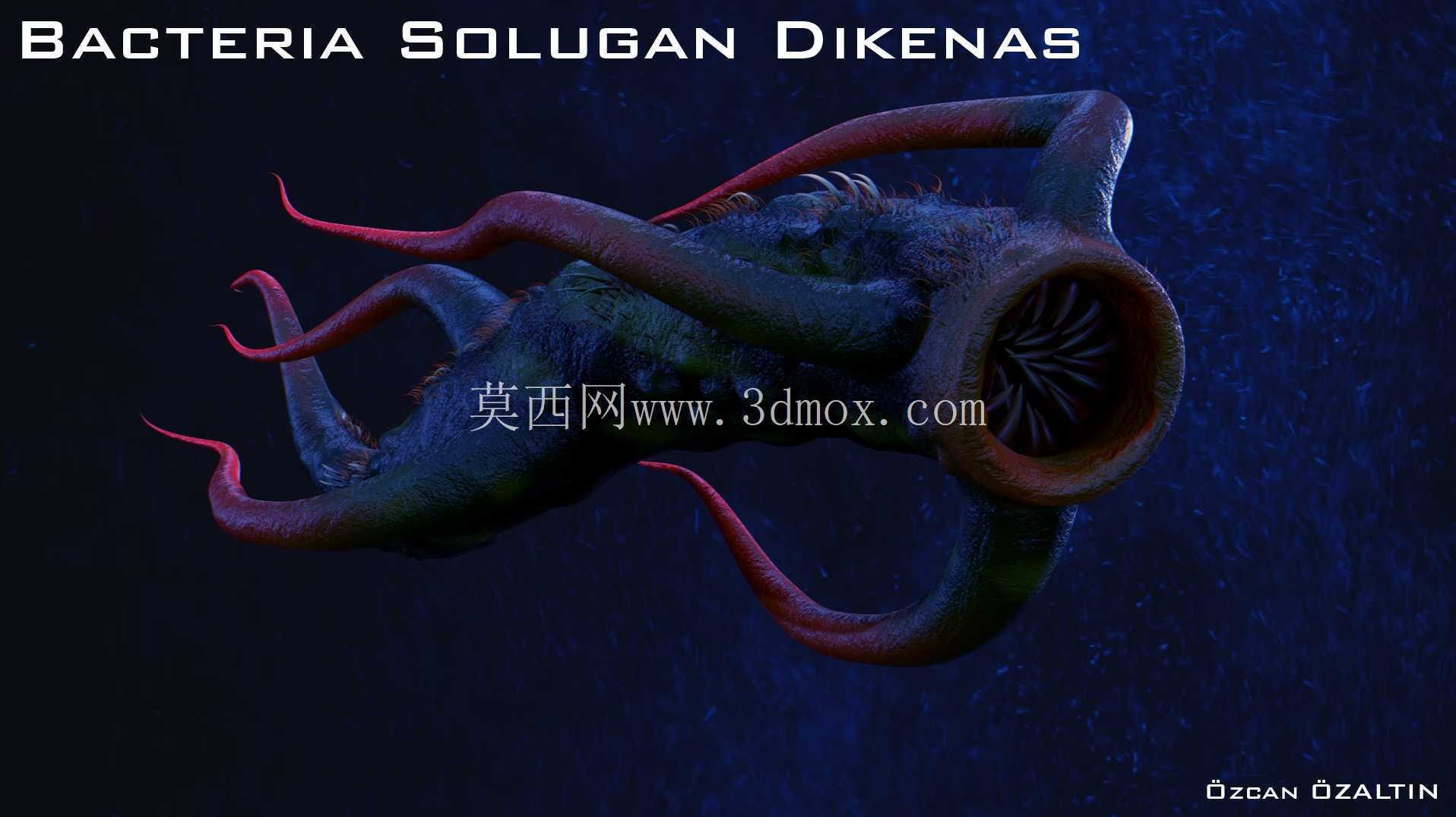 细菌 Solugan Dikenas - 她很残忍