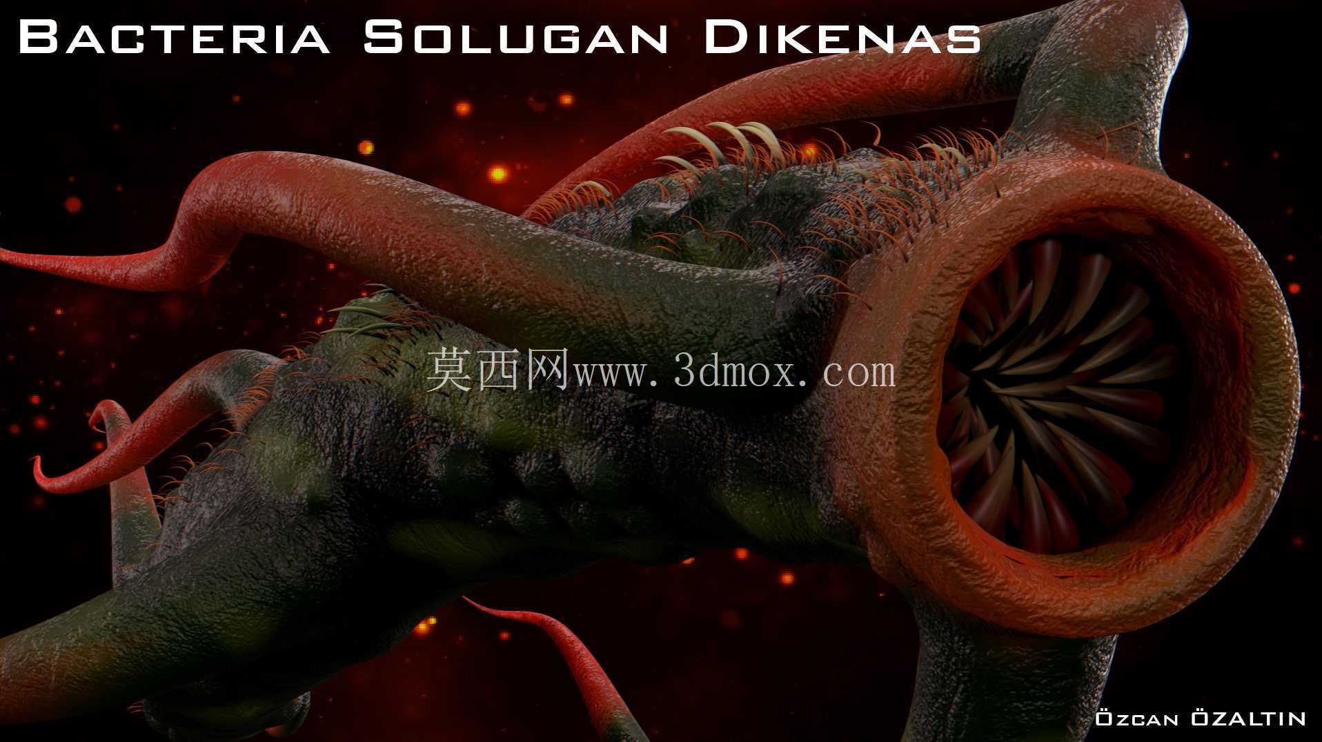 细菌 Solugan Dikenas - 她很残忍