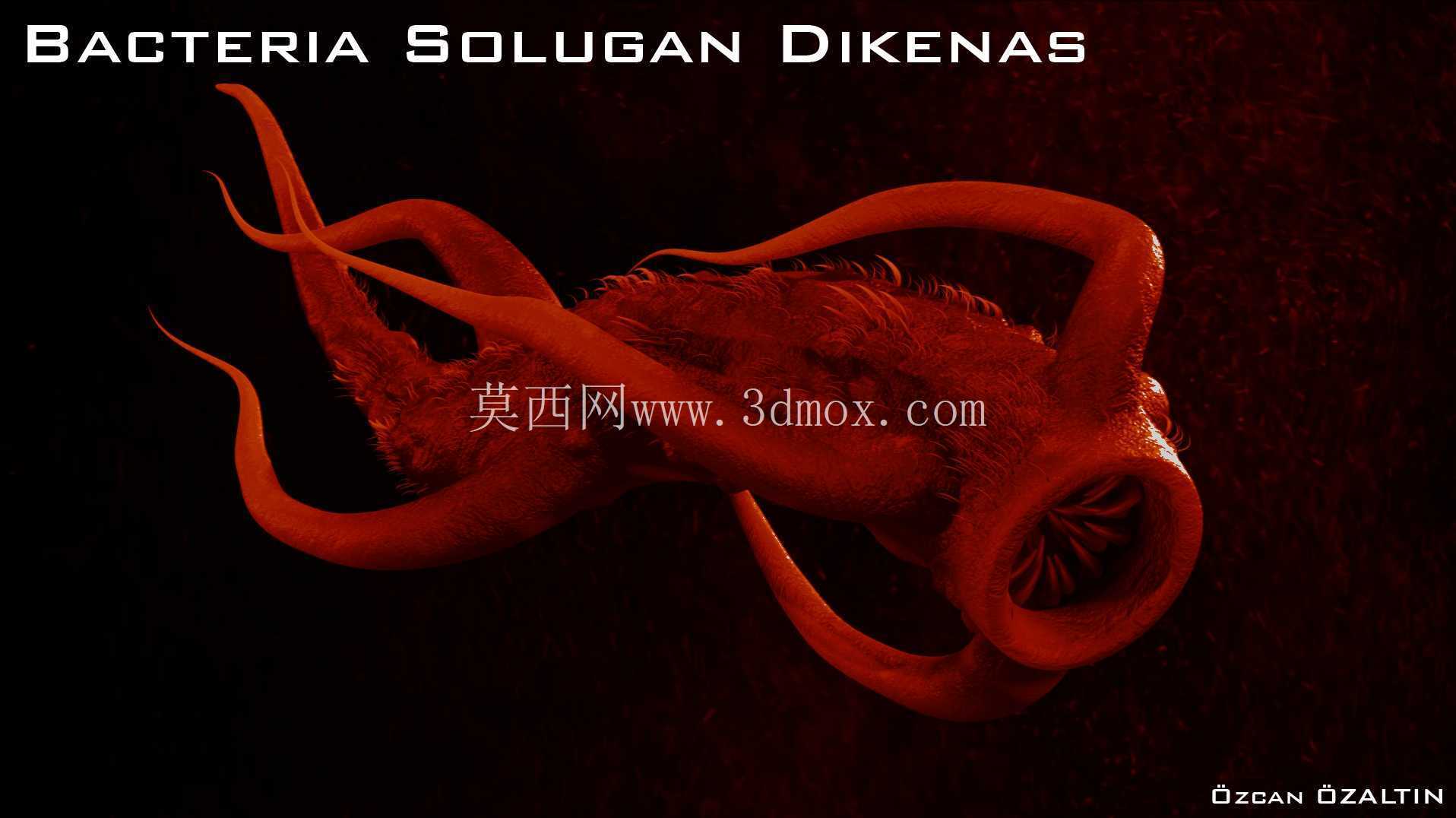 细菌 Solugan Dikenas - 她很残忍