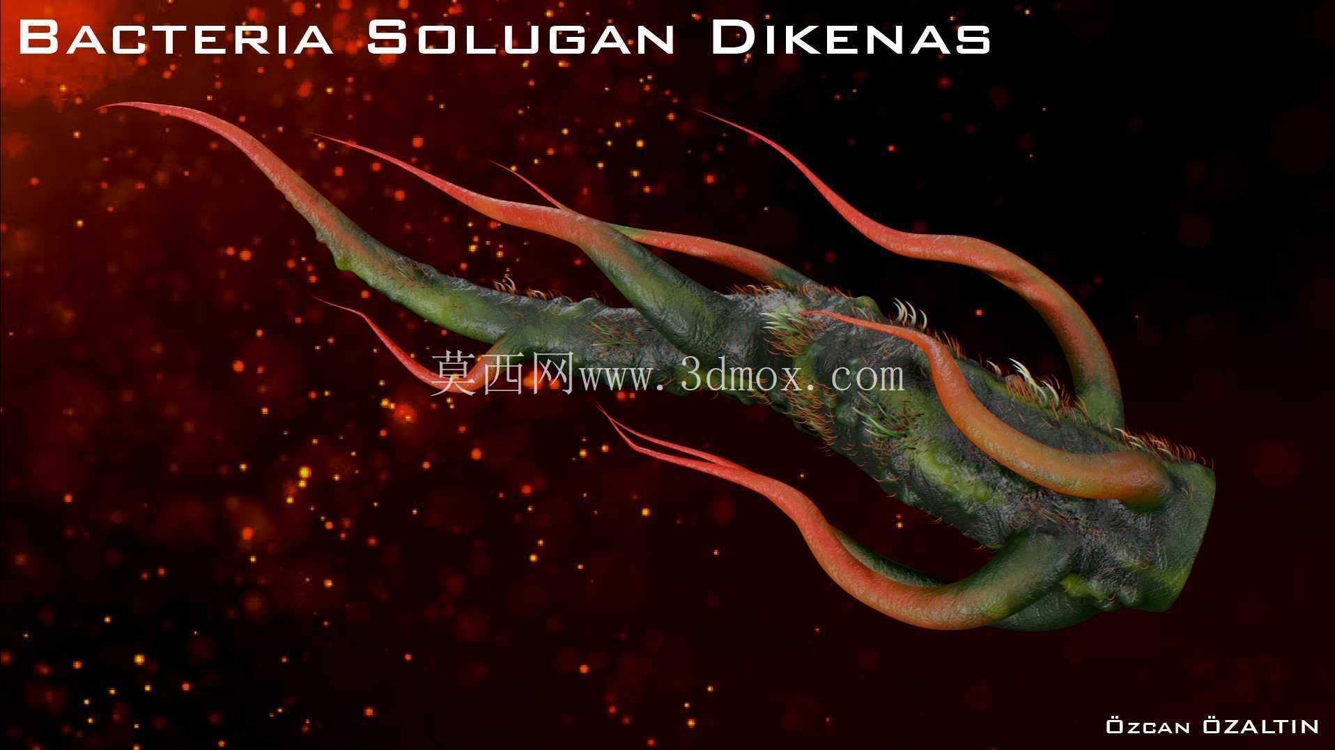 细菌 Solugan Dikenas - 她很残忍