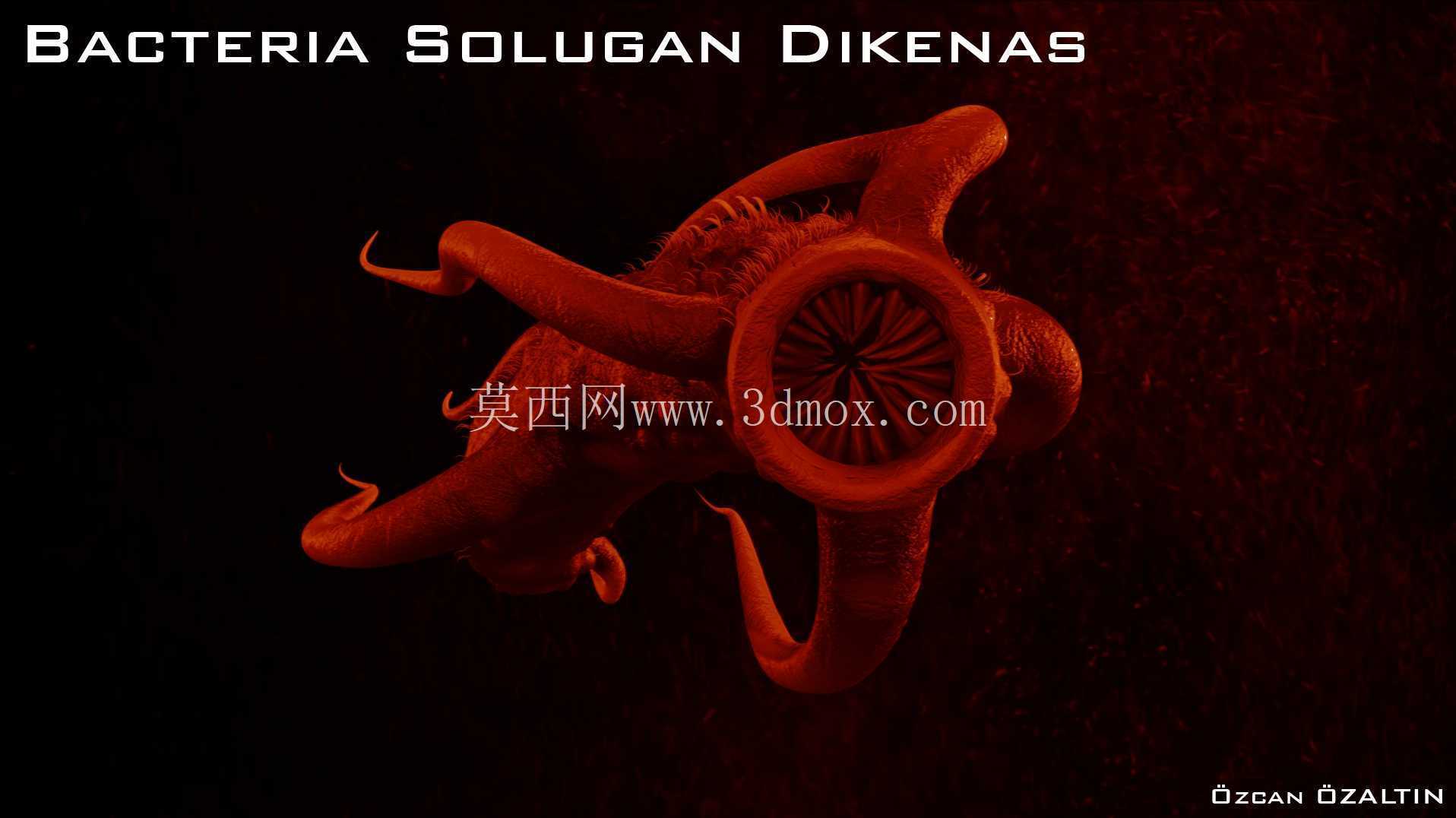 细菌 Solugan Dikenas - 她很残忍