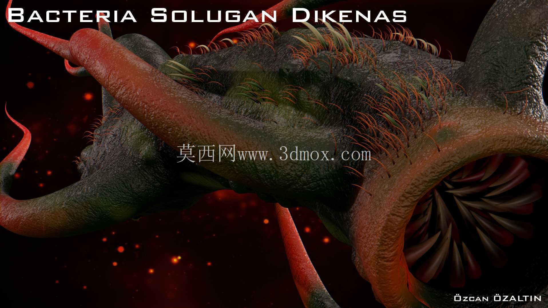 细菌 Solugan Dikenas - 她很残忍