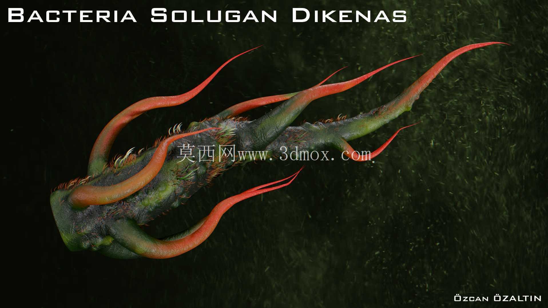 细菌 Solugan Dikenas - 她很残忍