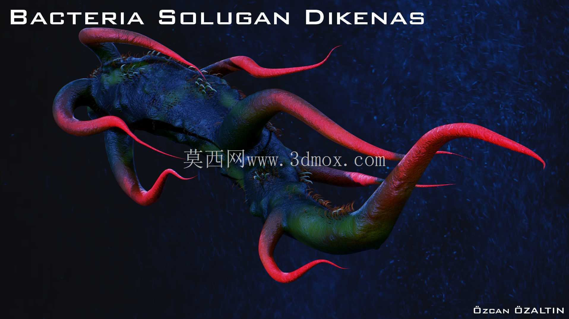 细菌 Solugan Dikenas - 她很残忍