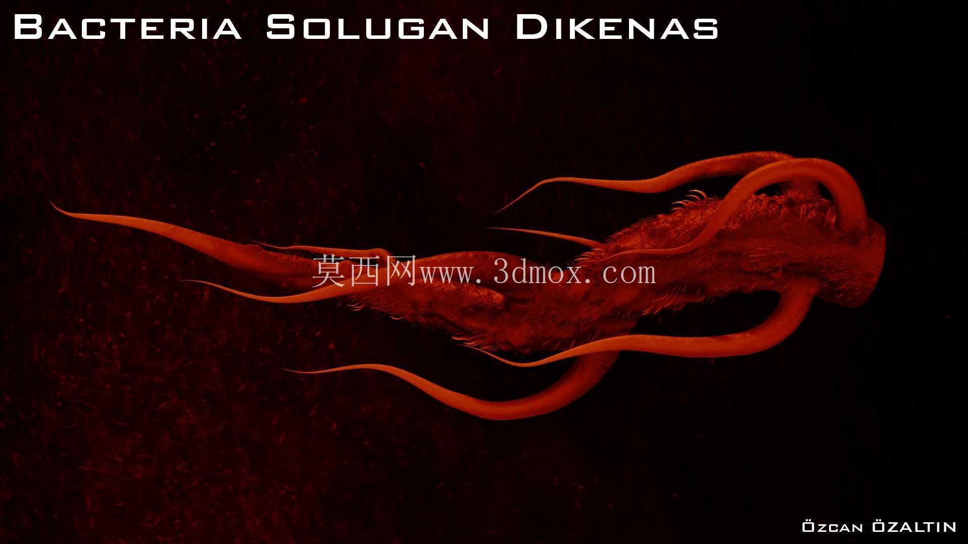细菌 Solugan Dikenas - 她很残忍