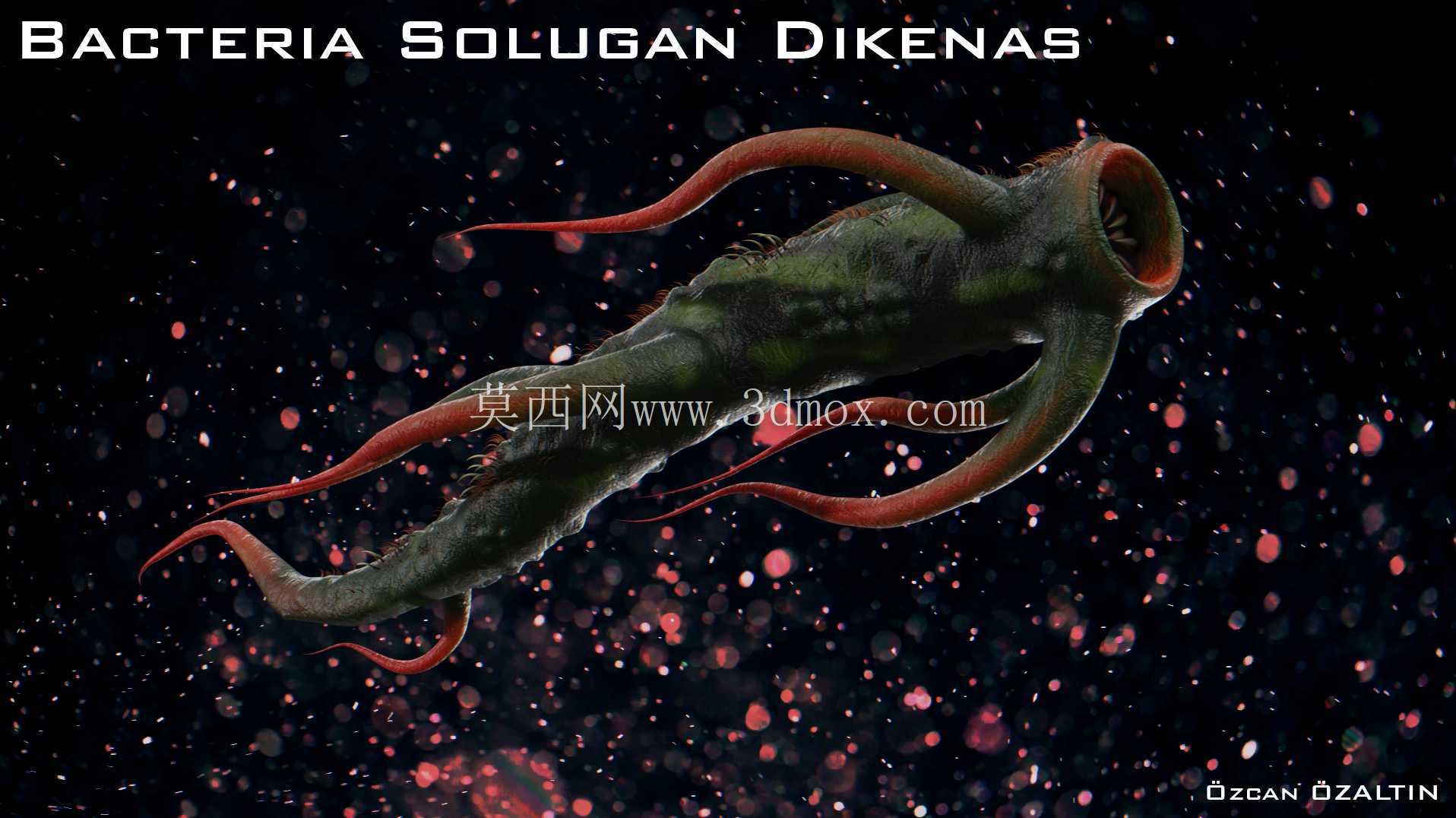 细菌 Solugan Dikenas - 她很残忍