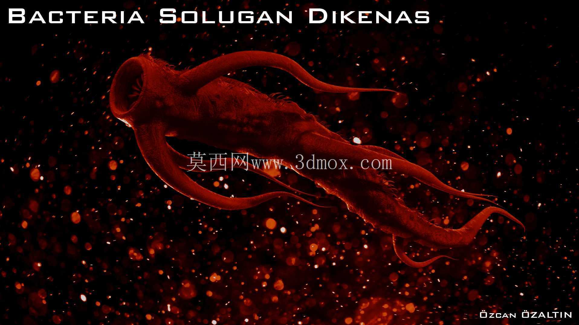 细菌 Solugan Dikenas - 她很残忍