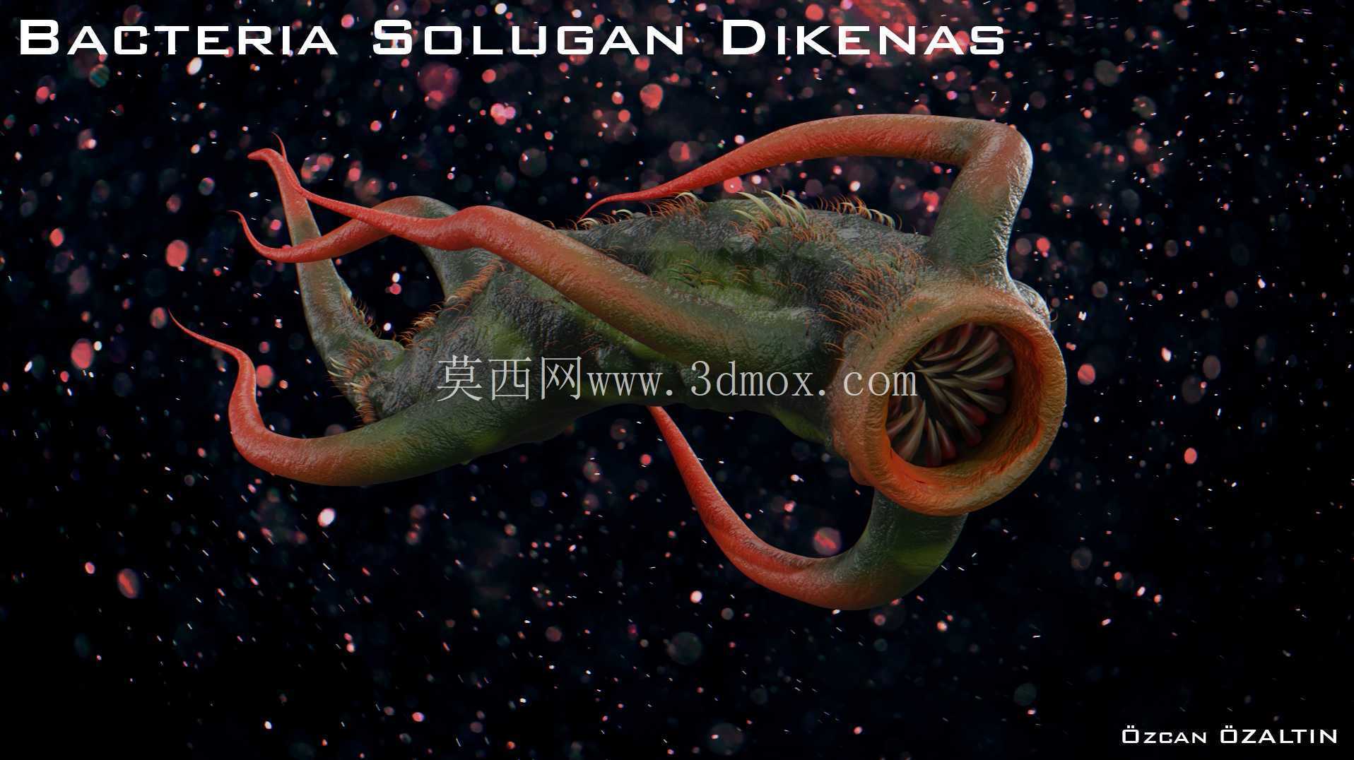 细菌 Solugan Dikenas - 她很残忍