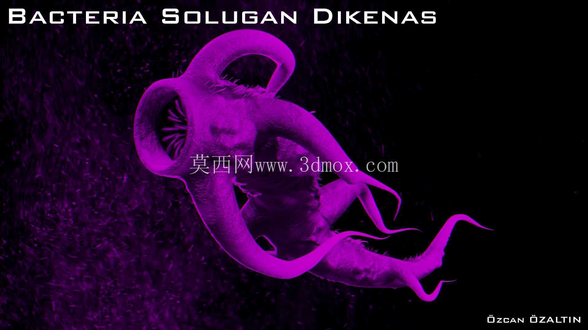 细菌 Solugan Dikenas - 她很残忍
