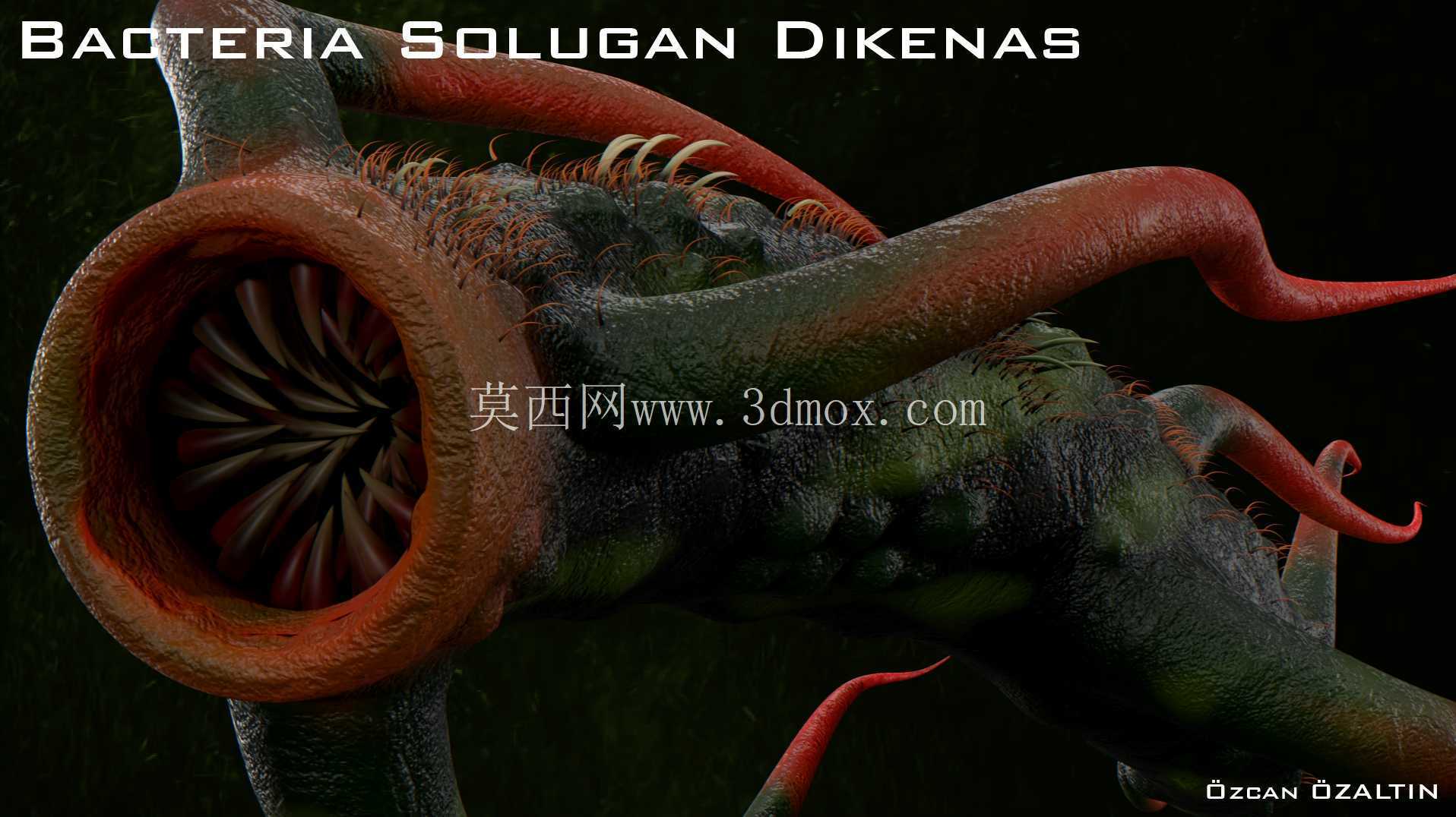 细菌 Solugan Dikenas - 她很残忍