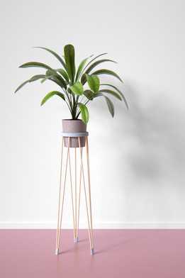  3D��ӡֲ���